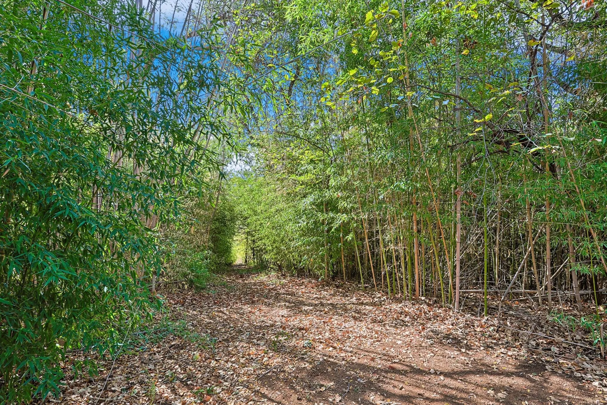 Direct entry to NORTHSHORE TRAIL