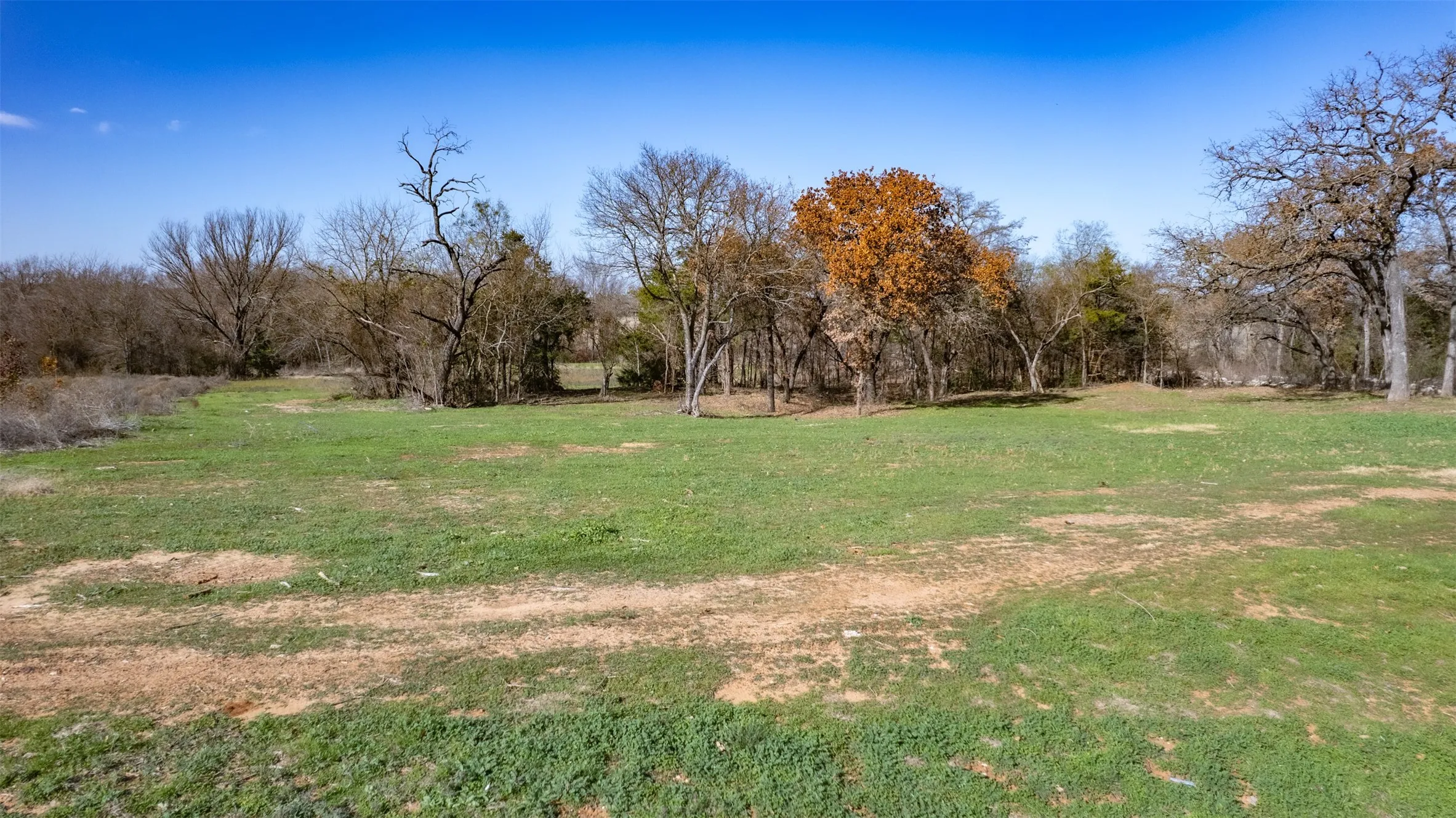 Expansive grassy terrain with varied tree coverage