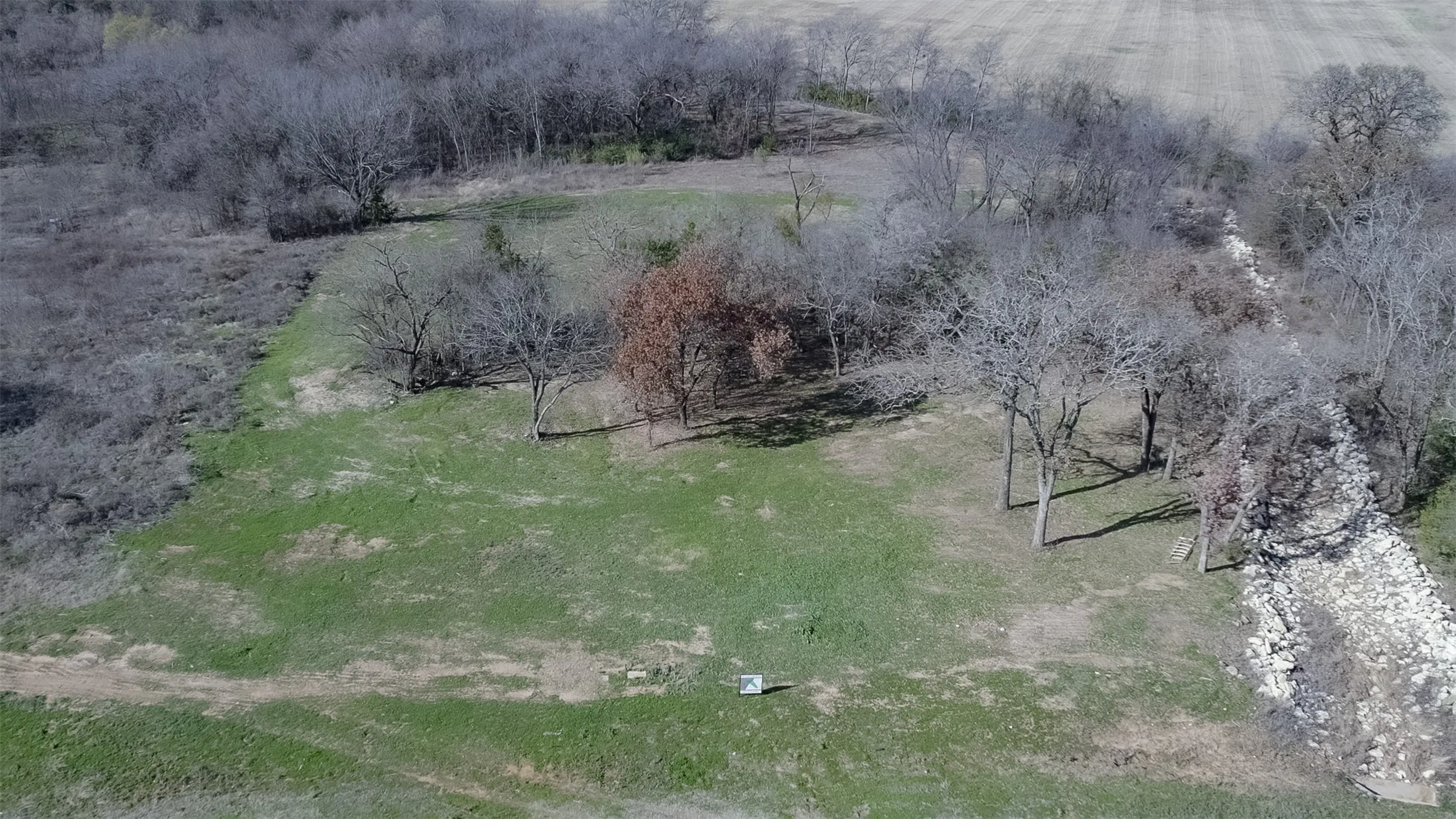 Expansive green space with scattered deciduous trees