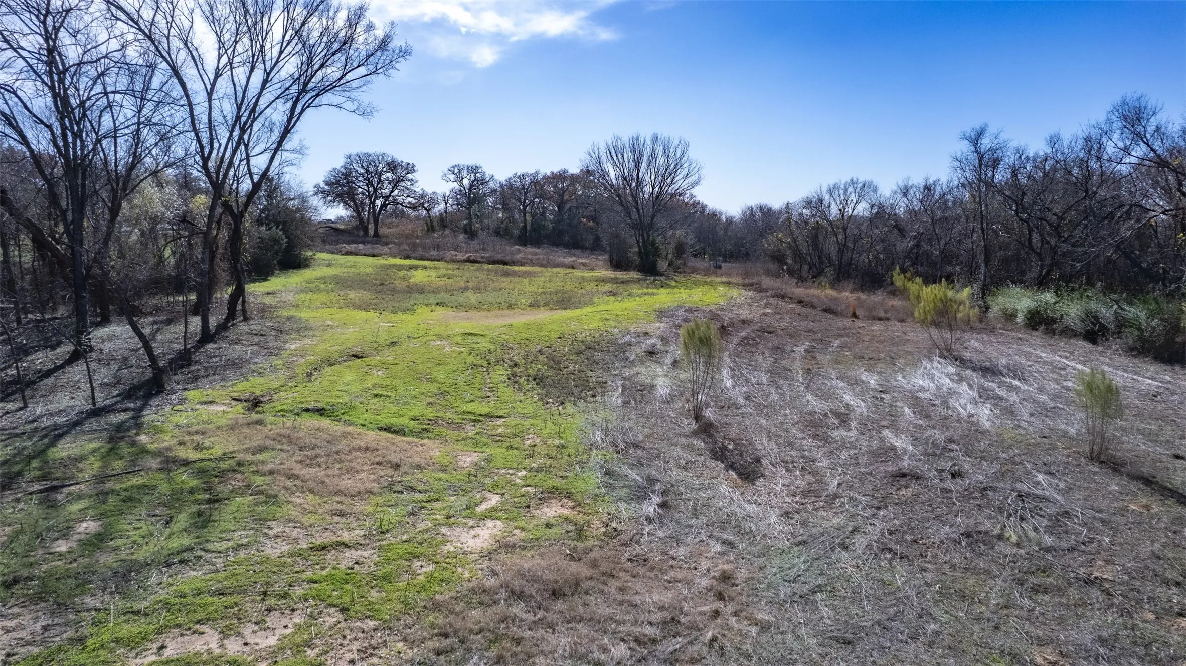 Expansive undeveloped land featuring a blend of open grassy areas and mature trees