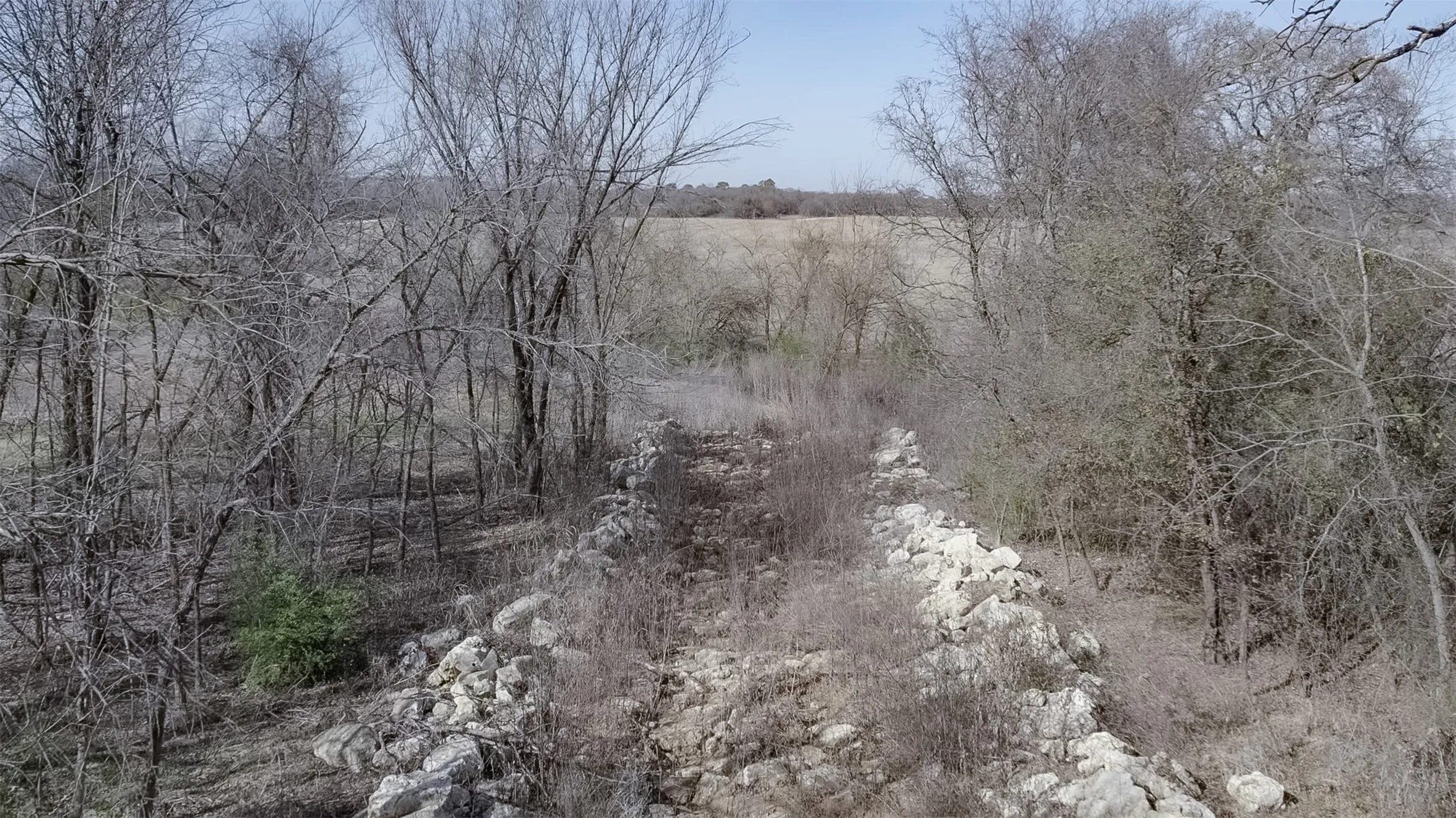 Rocky terrain with dense, mature trees and natural vegetation