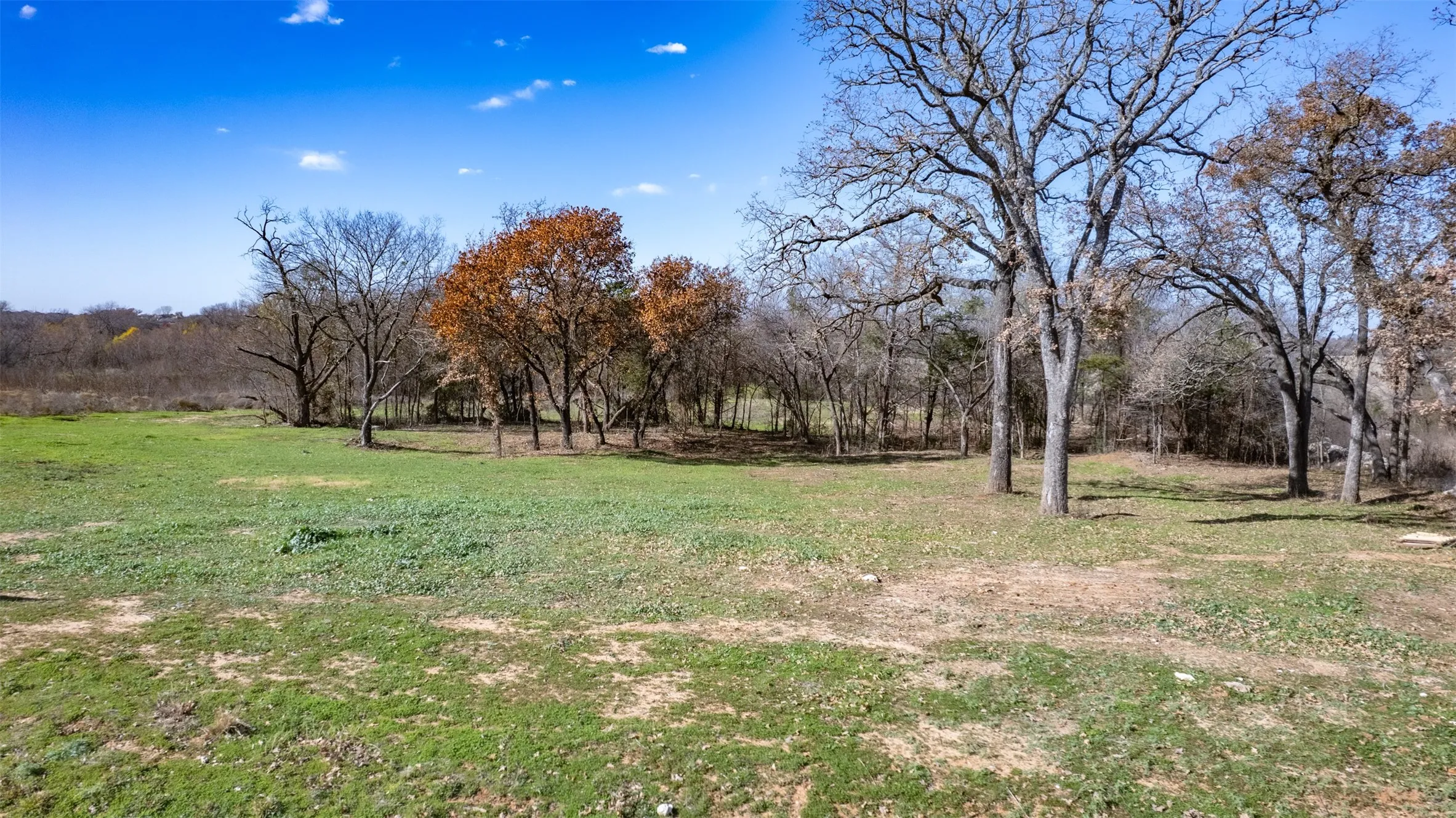 Open acreage with a mix of mature deciduous trees and partial ground cover