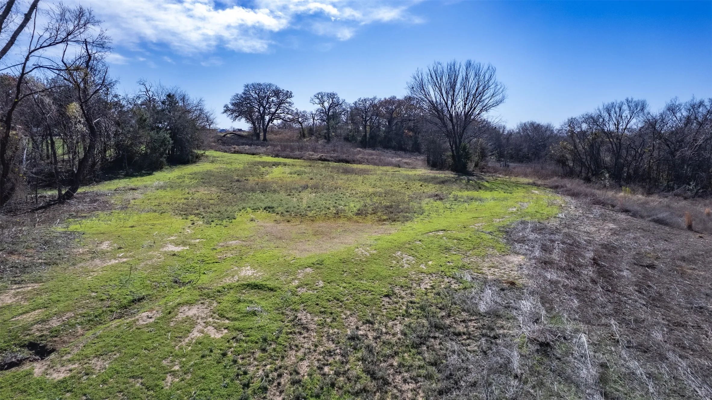 Expansive land parcel with varied topography, featuring areas of green ground cover and mature trees along the perimeter