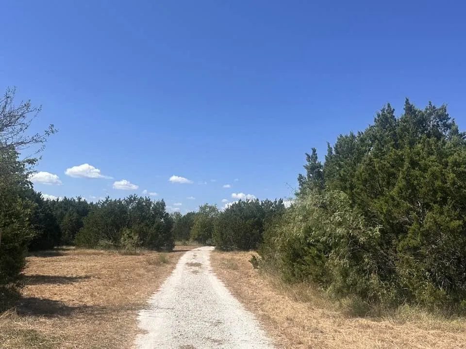 Private drive from road to house.