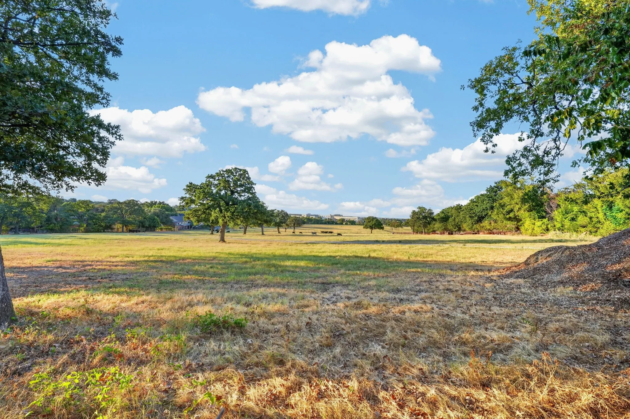 View from the Deck and Backyard - Expansive open field with scattered mature trees and distant foliage