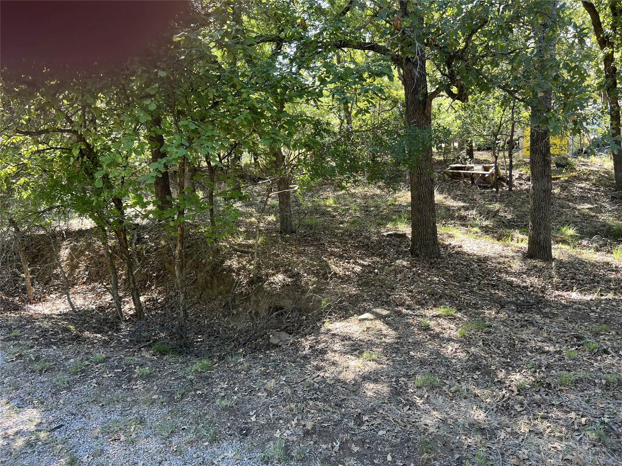 Wooded terrain featuring mature trees