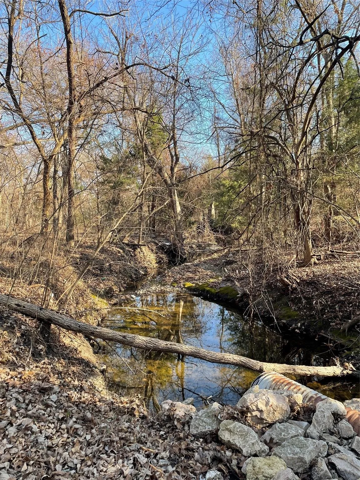 Wooded acreage with a natural water feature