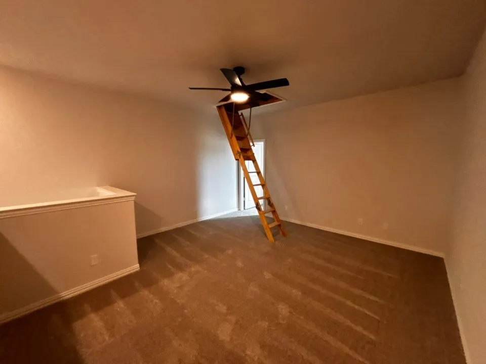 Carpeted room featuring a ceiling-mounted fan with integrated lighting, a built-in wooden attic ladder, and neutral wall finishes