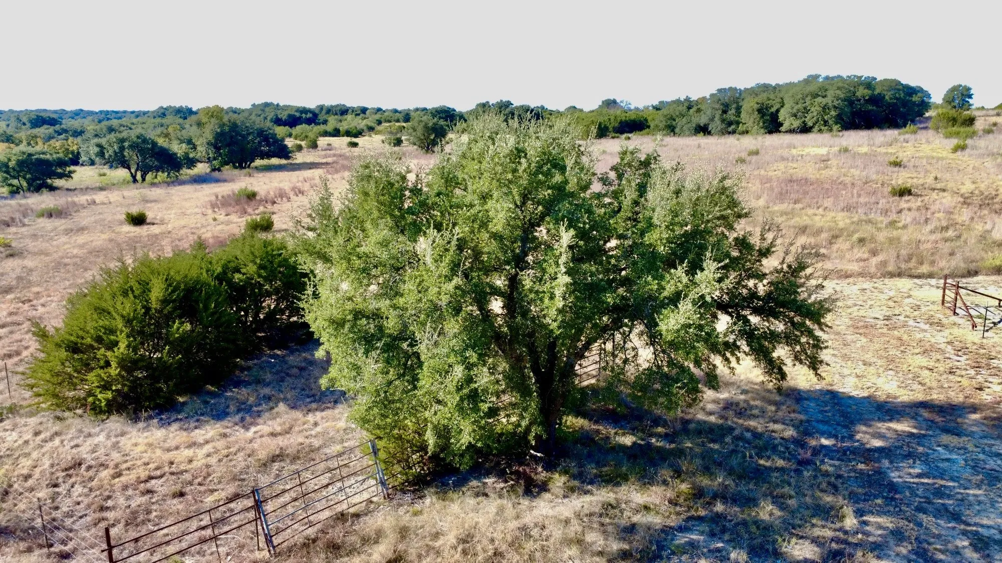 Farm For Sale in Hamilton County , 5254 Honey Creek Pass, Hico, Texas 76457, 3 Bedroom, 3 Bathroom, Garage spaces, 1,500 Sqft, built in 2025, mls#21382821, Real Estate Agent in Hico, Homes For Sale in Hamilton county, Homes For Sale in Hico, Realtor in Hico Texas, Real Estate Brokerage Independent Realty Texas, Luminita Cordes Realtor