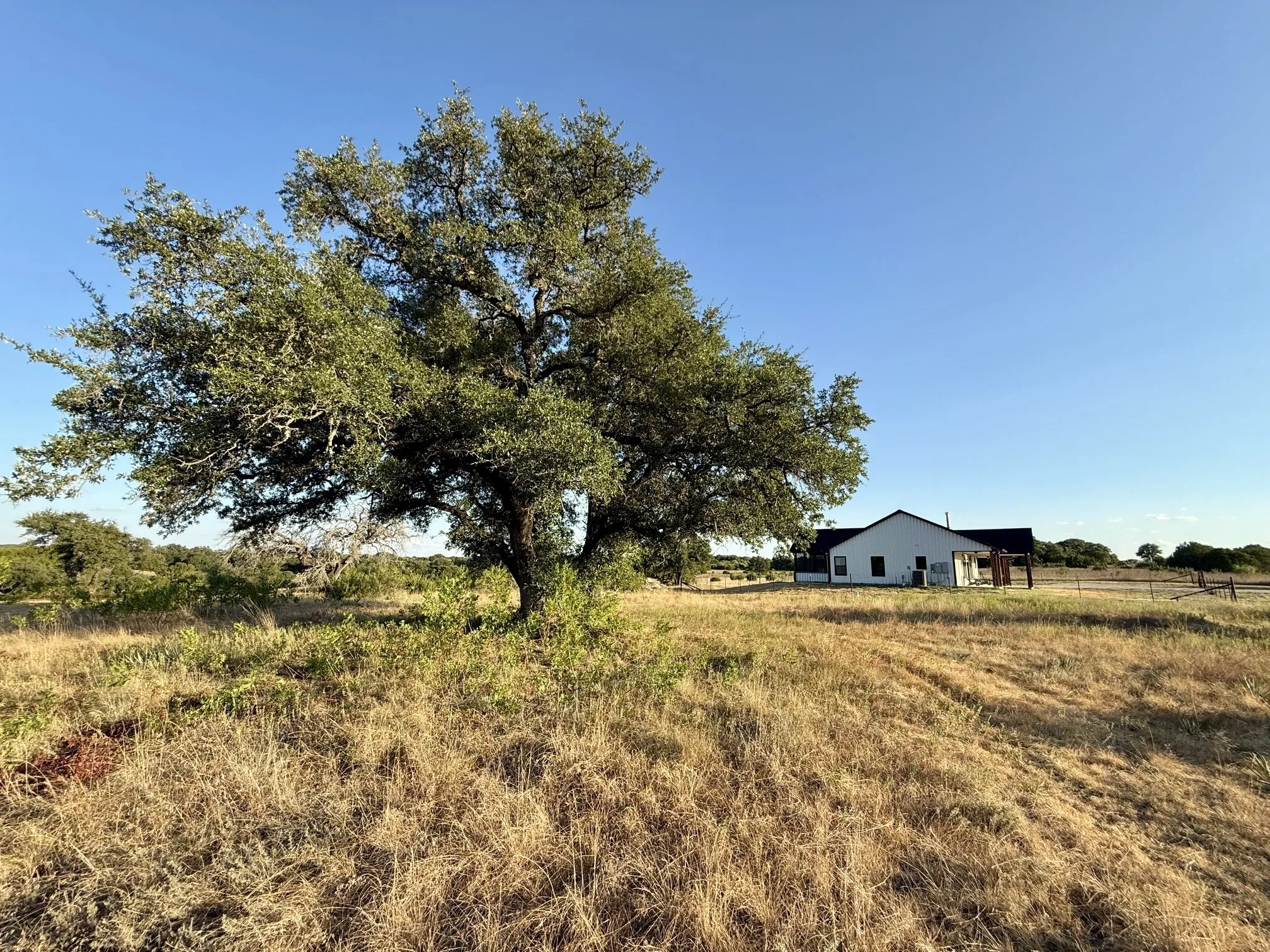 Farm For Sale in Hamilton County , 5254 Honey Creek Pass, Hico, Texas 76457, 3 Bedroom, 3 Bathroom, Garage spaces, 1,500 Sqft, built in 2025, mls#21382821, Real Estate Agent in Hico, Homes For Sale in Hamilton county, Homes For Sale in Hico, Realtor in Hico Texas, Real Estate Brokerage Independent Realty Texas, Luminita Cordes Realtor