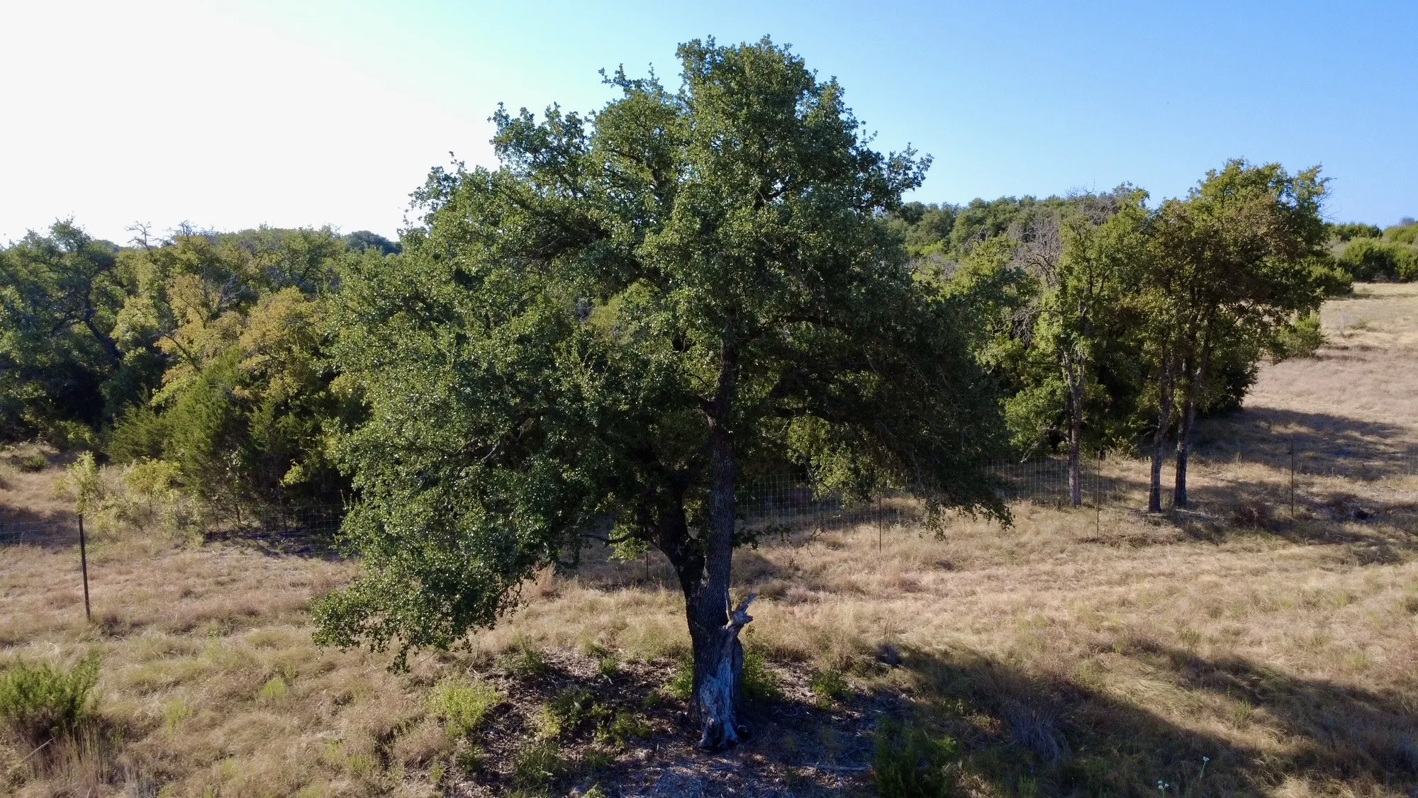 Farm For Sale in Hamilton County , 5254 Honey Creek Pass, Hico, Texas 76457, 3 Bedroom, 3 Bathroom, Garage spaces, 1,500 Sqft, built in 2025, mls#21382821, Real Estate Agent in Hico, Homes For Sale in Hamilton county, Homes For Sale in Hico, Realtor in Hico Texas, Real Estate Brokerage Independent Realty Texas, Luminita Cordes Realtor