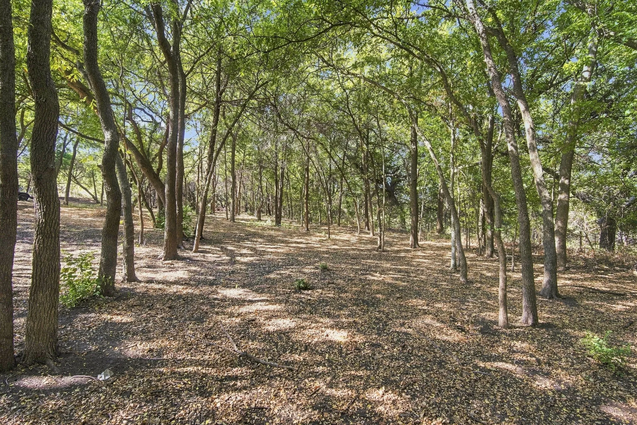 Beautifully wooded grounds with mature trees and natural foliage offer privacy and charm.