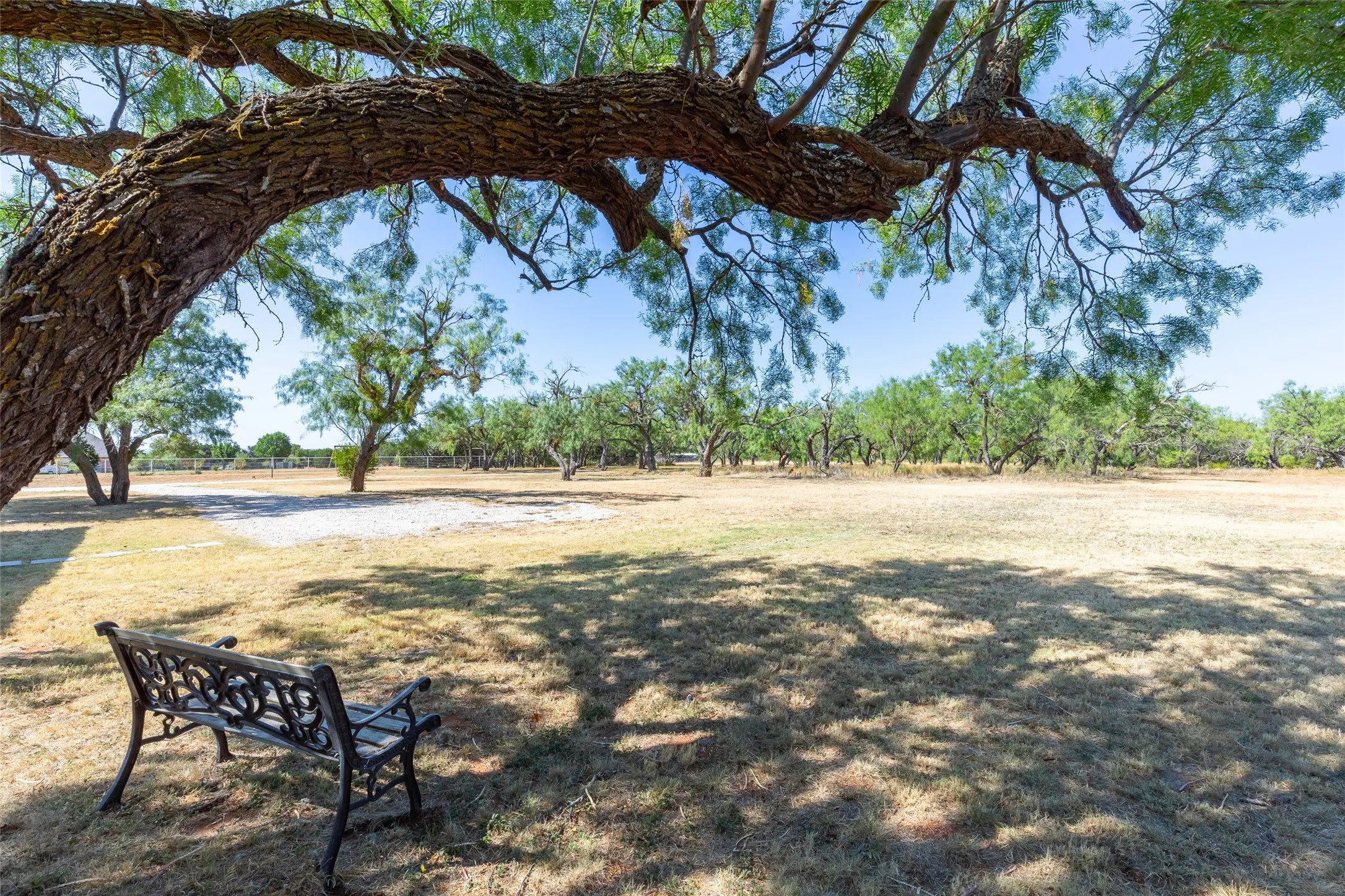 Single Family Residence For Rent in Taylor County , 138 County Road 127 B, Tuscola, Texas 79562, 3 Bedroom, 2 Bathroom, Garage spaces, 2,000 Sqft, built in 2022, mls#21382920, Real Estate Agent in Tuscola, Homes For Rent in Taylor county, Homes For Rent in Tuscola, Realtor in Tuscola Texas, Real Estate Brokerage Independent Realty Texas, Luminita Cordes Realtor