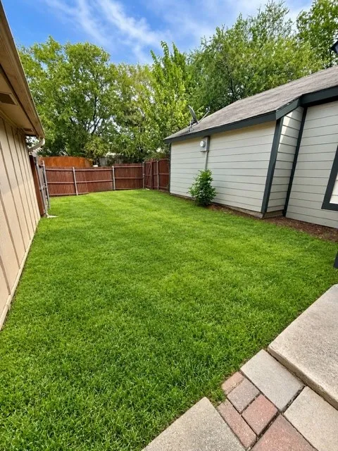 Grass is dead now. This is what the backyard can look like if you water the grass.
