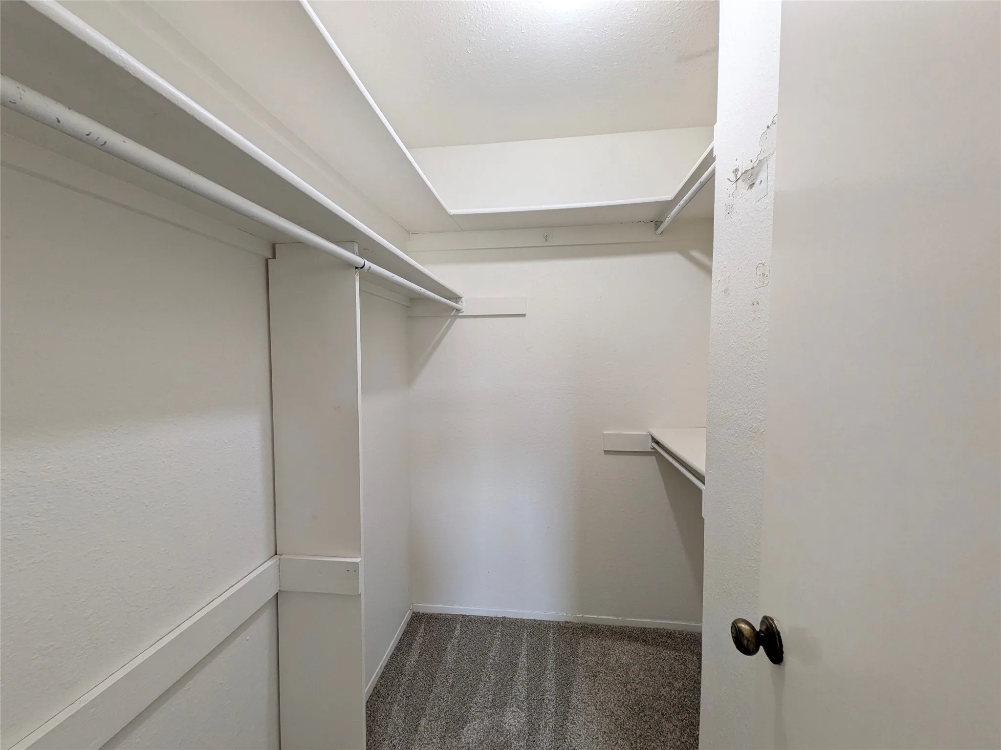 Walk-in closet featuring carpet flooring, built-in shelving, and hanging rods