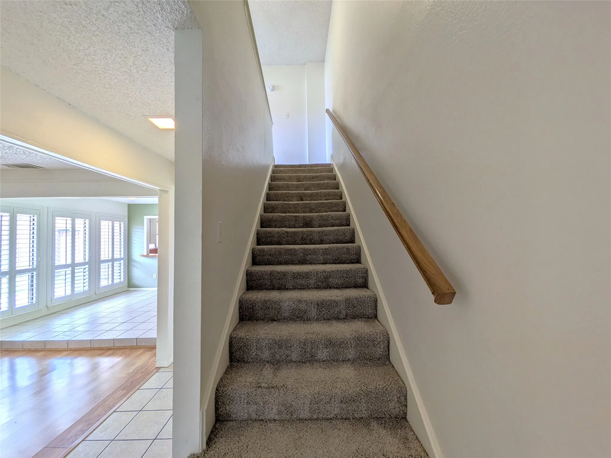 Carpeted staircase with a wood-finish handrail