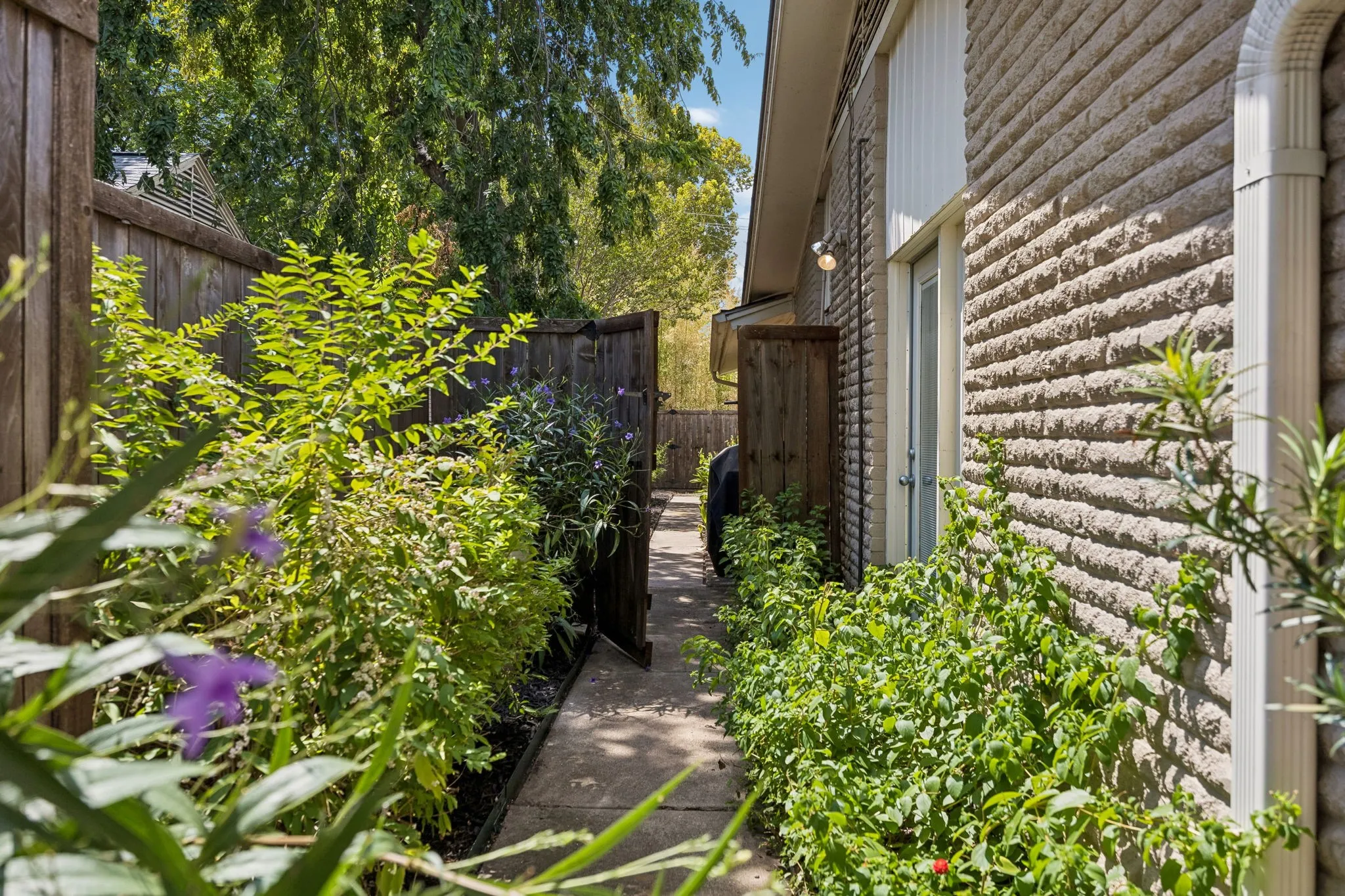Beautifully landscaped walkway to the large backyard