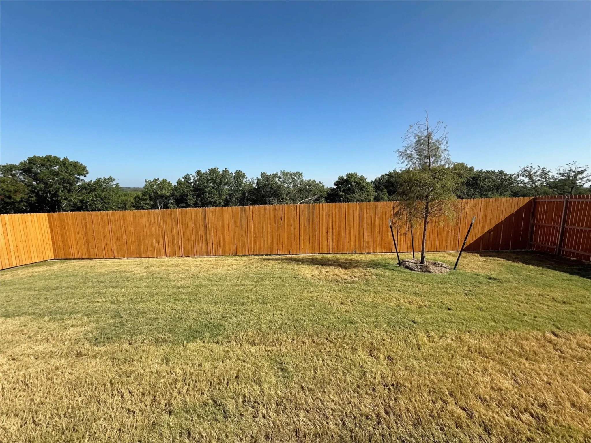 Single Family Residence For Rent in Grayson County , 401 N Mc Nelly Lane, Sherman, Texas 75092, 4 Bedroom, 2 Bathroom, 2 Garage spaces, 1,908 Sqft, built in 2026, mls#21382938, Real Estate Agent in Sherman, Homes For Rent in Grayson county, Homes For Rent in Sherman, Realtor in Sherman Texas, Real Estate Brokerage Independent Realty Texas, Luminita Cordes Realtor