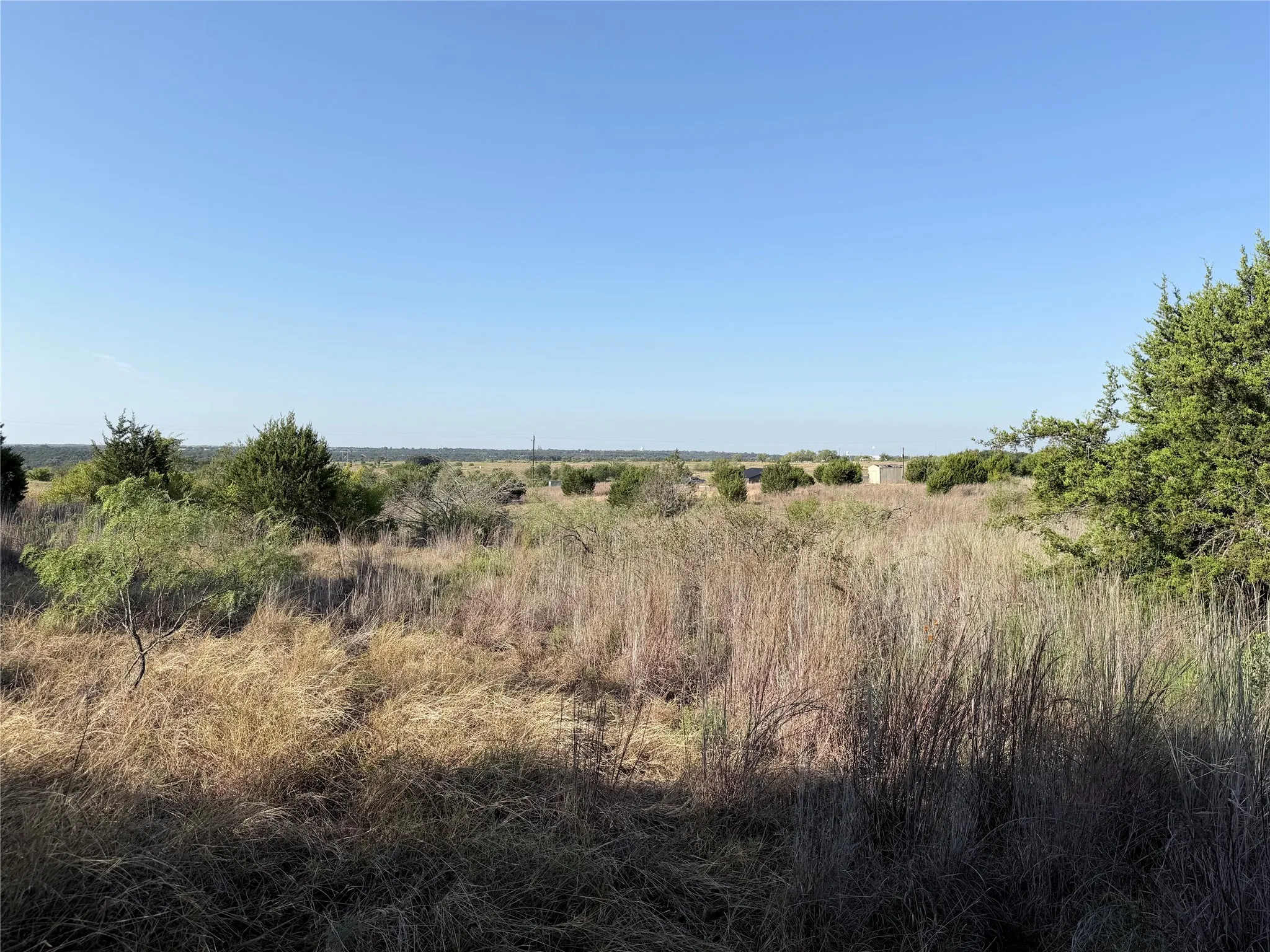 Expansive open land with varied natural grasses and scattered trees under a clear sky