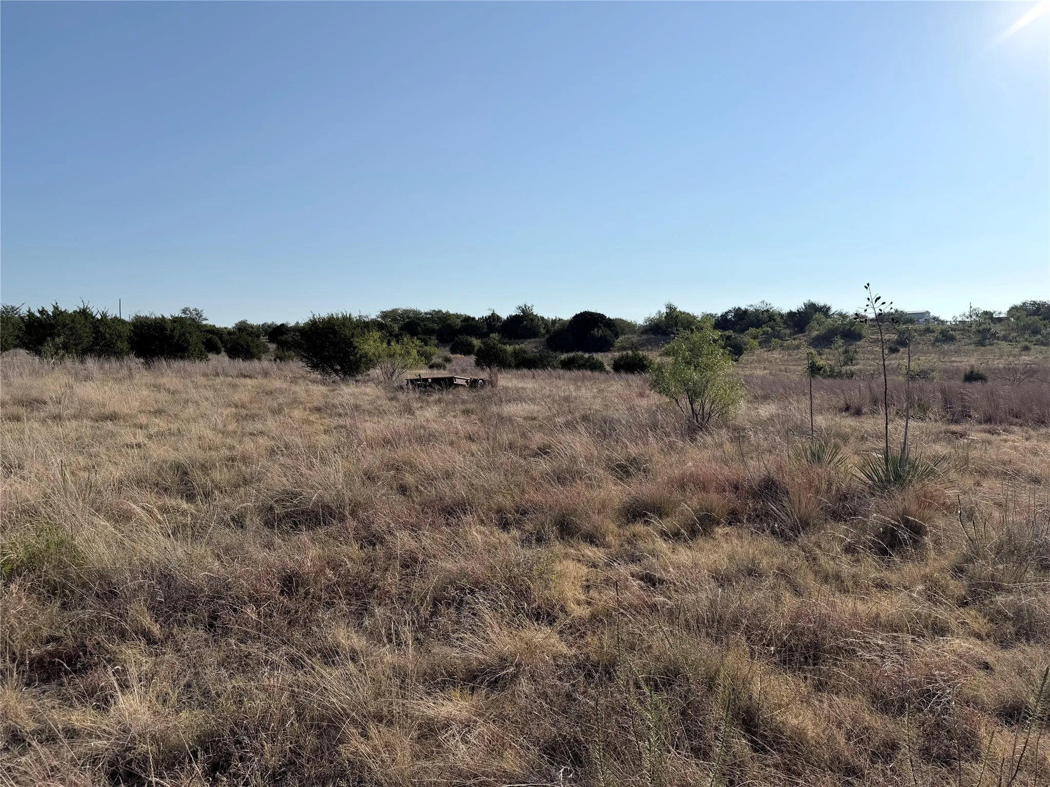 Expansive open land with natural grasses, scattered brush, and mature trees