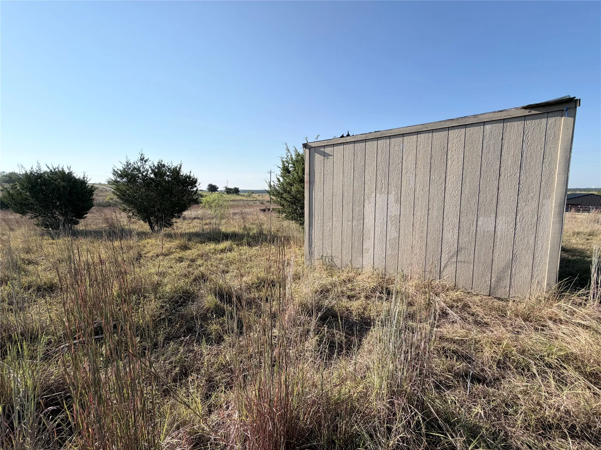 Expansive lot featuring a storage shed, natural grasses, and established evergreen trees