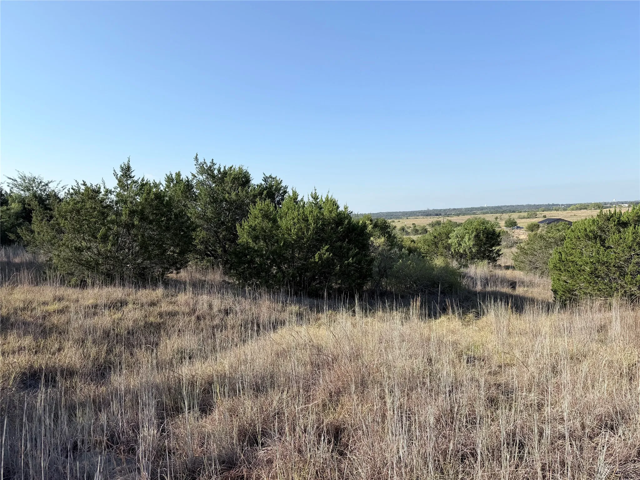 Expansive natural landscape featuring varied topography, mature trees, and natural grasses
