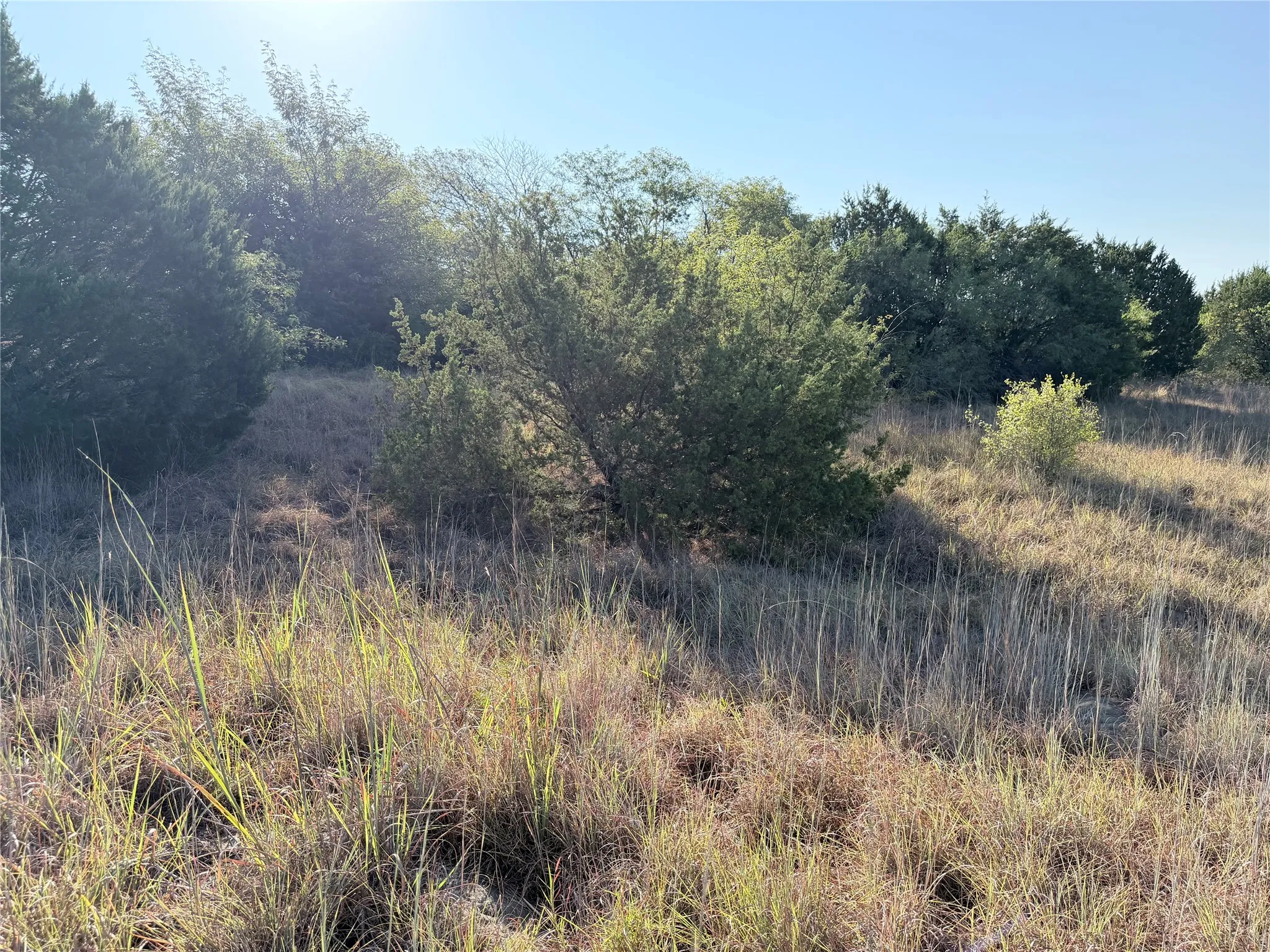 Expansive natural landscape with mature trees and varied vegetation