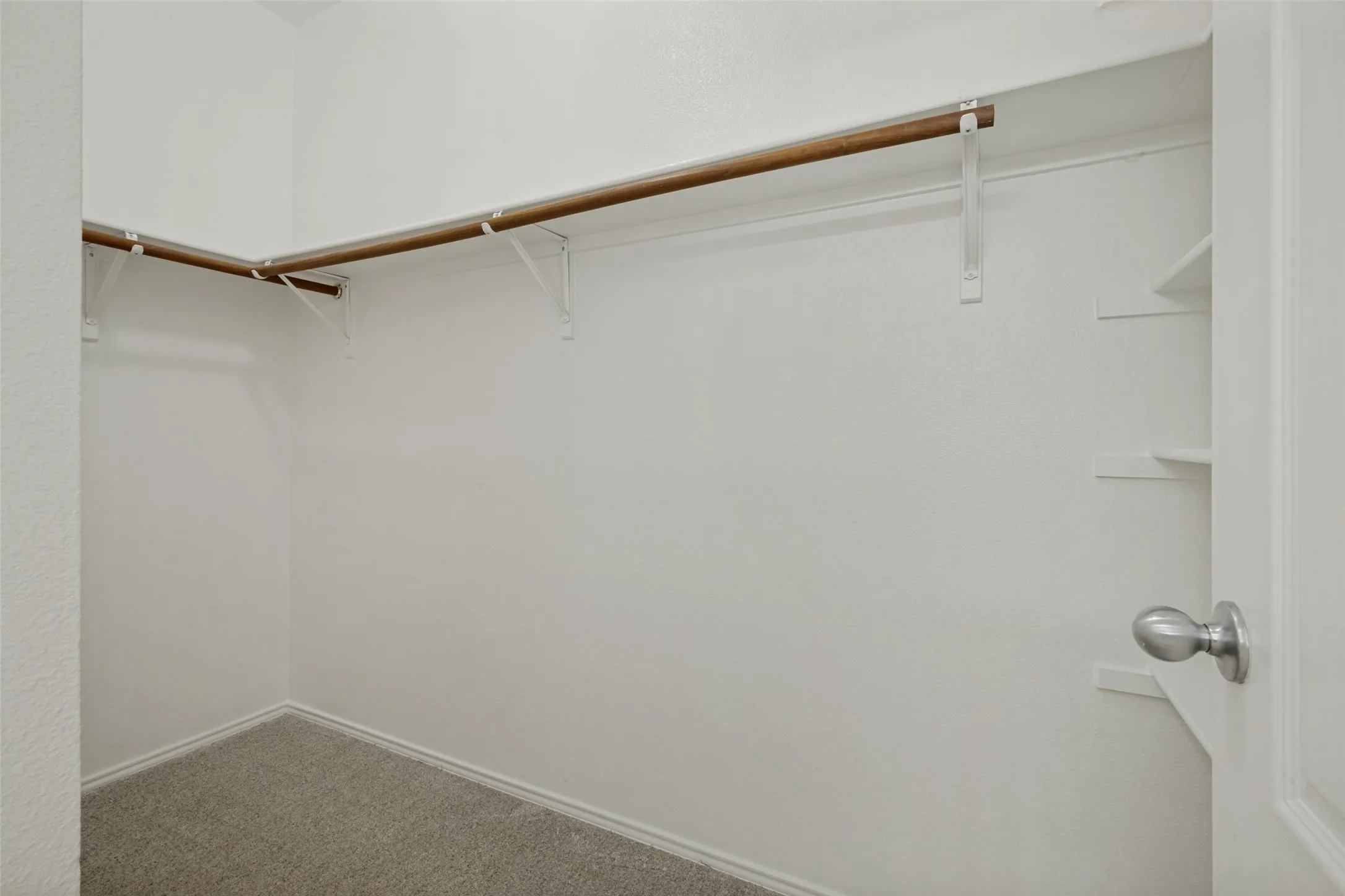 Walk-in closet featuring built-in shelving, a clothes rod, and carpeting