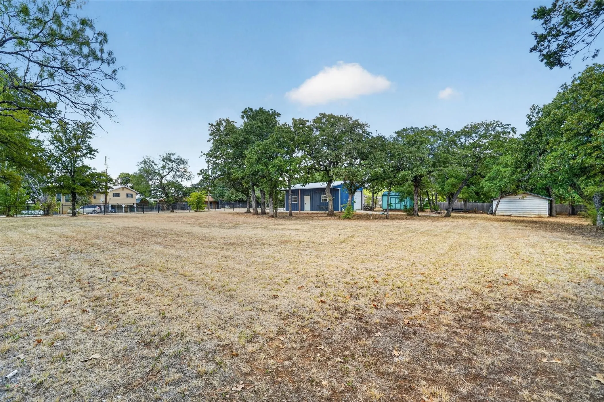 Expansive open field with scattered mature trees and a distant structure