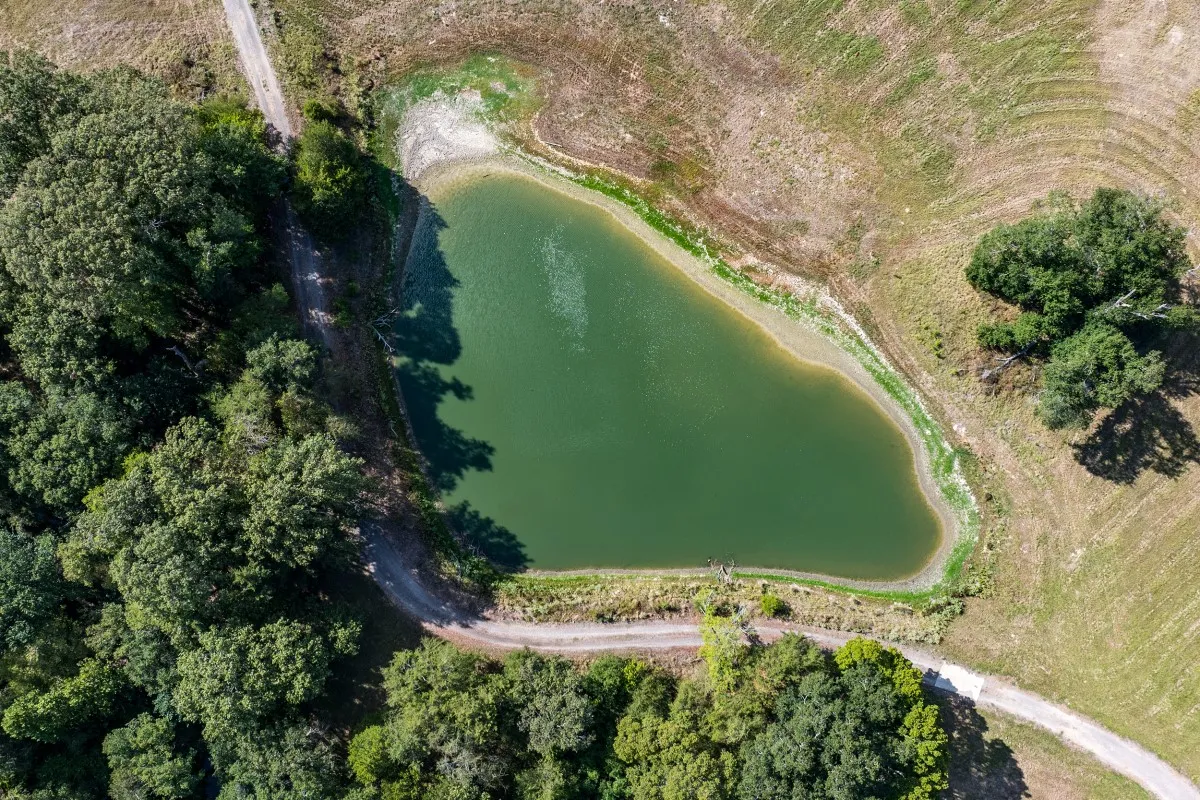 Improved Land For Sale in Henderson County , 12305 Fm 753, Athens, Texas 75751, 0, 0, Garage spaces, 0 Sqft, built in 2022, mls#21382414, Real Estate Agent in Athens, Homes For Sale in Henderson county, Homes For Sale in Athens, Realtor in Athens Texas, Real Estate Brokerage Independent Realty Texas, Luminita Cordes Realtor