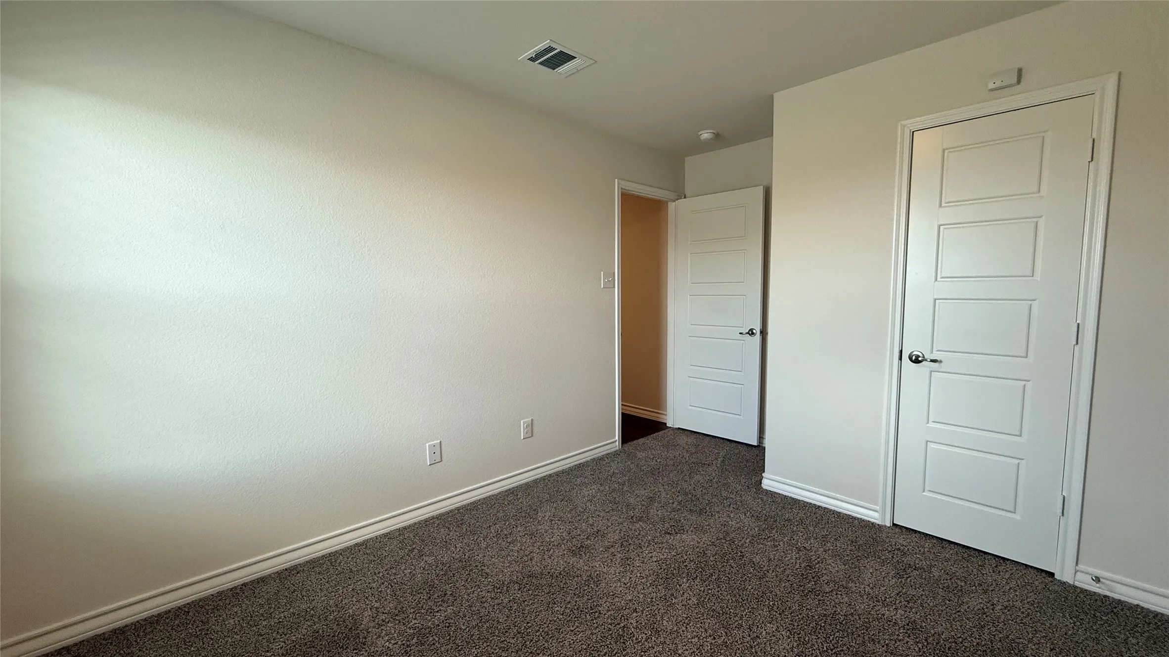 Plush carpeted flooring with light-toned walls, contemporary paneled doors, and white trim