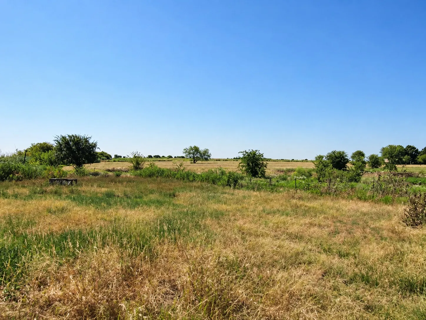 Farm For Sale in Johnson County , 12612 Fm 1807, Alvarado, Texas 76009, 3 Bedroom, 2 Bathroom, Garage spaces, 1,232 Sqft, built in 2005, mls#21382844, Real Estate Agent in Alvarado, Homes For Sale in Johnson county, Homes For Sale in Alvarado, Realtor in Alvarado Texas, Real Estate Brokerage Independent Realty Texas, Luminita Cordes Realtor