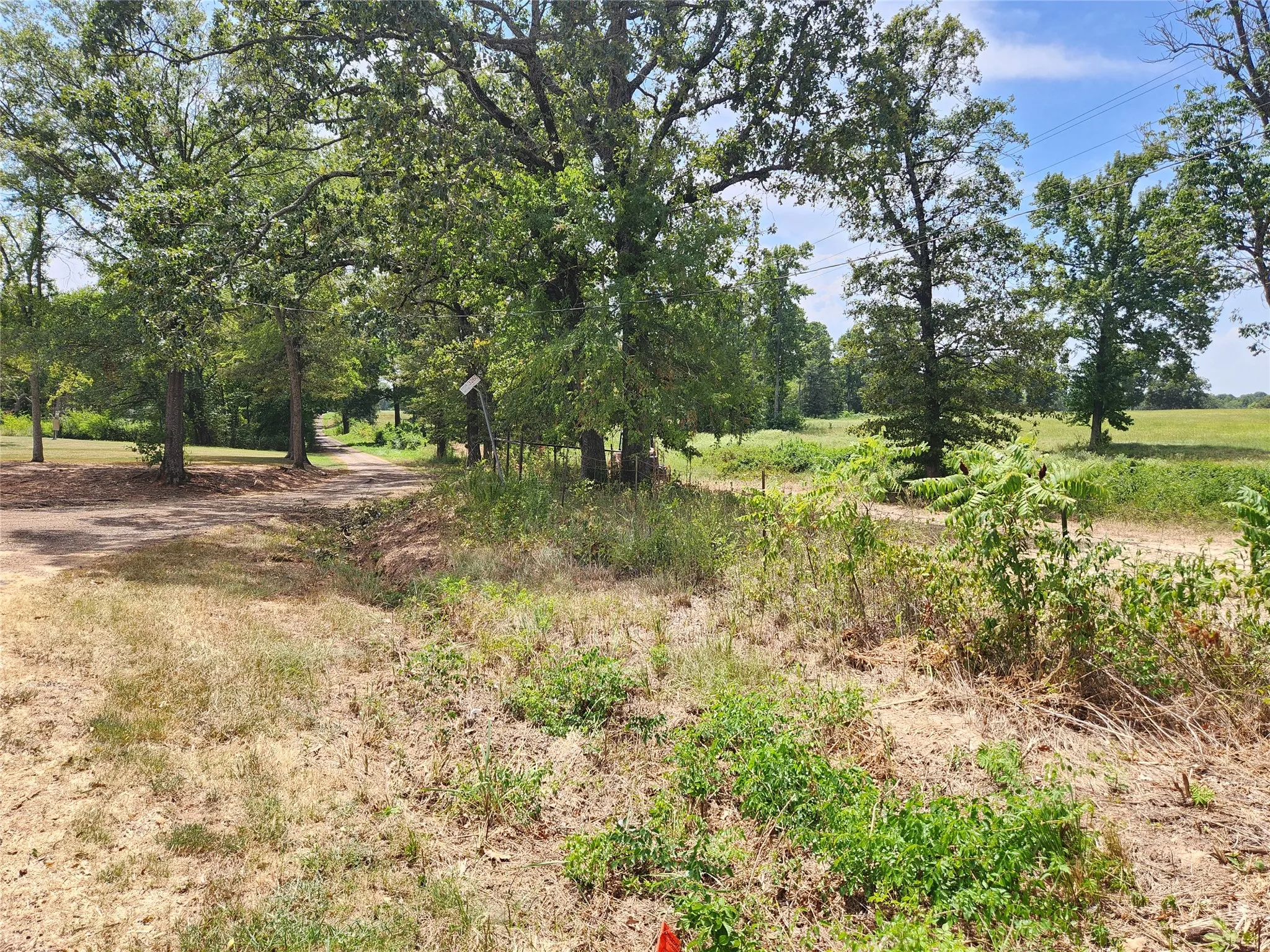 Improved Land For Sale in Titus County , Lot 21 CR 3249, Mt Pleasant, Texas 75455, 0, 0, Garage spaces, 0 Sqft, built in 0, mls#21382991, Real Estate Agent in Mt Pleasant, Homes For Sale in Titus county, Homes For Sale in Mt Pleasant, Realtor in Mt Pleasant Texas, Real Estate Brokerage Independent Realty Texas, Luminita Cordes Realtor