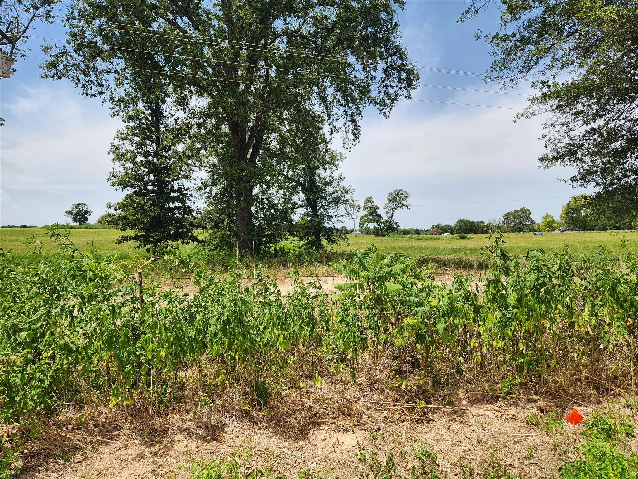 Improved Land For Sale in Titus County , Lot 21 CR 3249, Mt Pleasant, Texas 75455, 0, 0, Garage spaces, 0 Sqft, built in 0, mls#21382991, Real Estate Agent in Mt Pleasant, Homes For Sale in Titus county, Homes For Sale in Mt Pleasant, Realtor in Mt Pleasant Texas, Real Estate Brokerage Independent Realty Texas, Luminita Cordes Realtor
