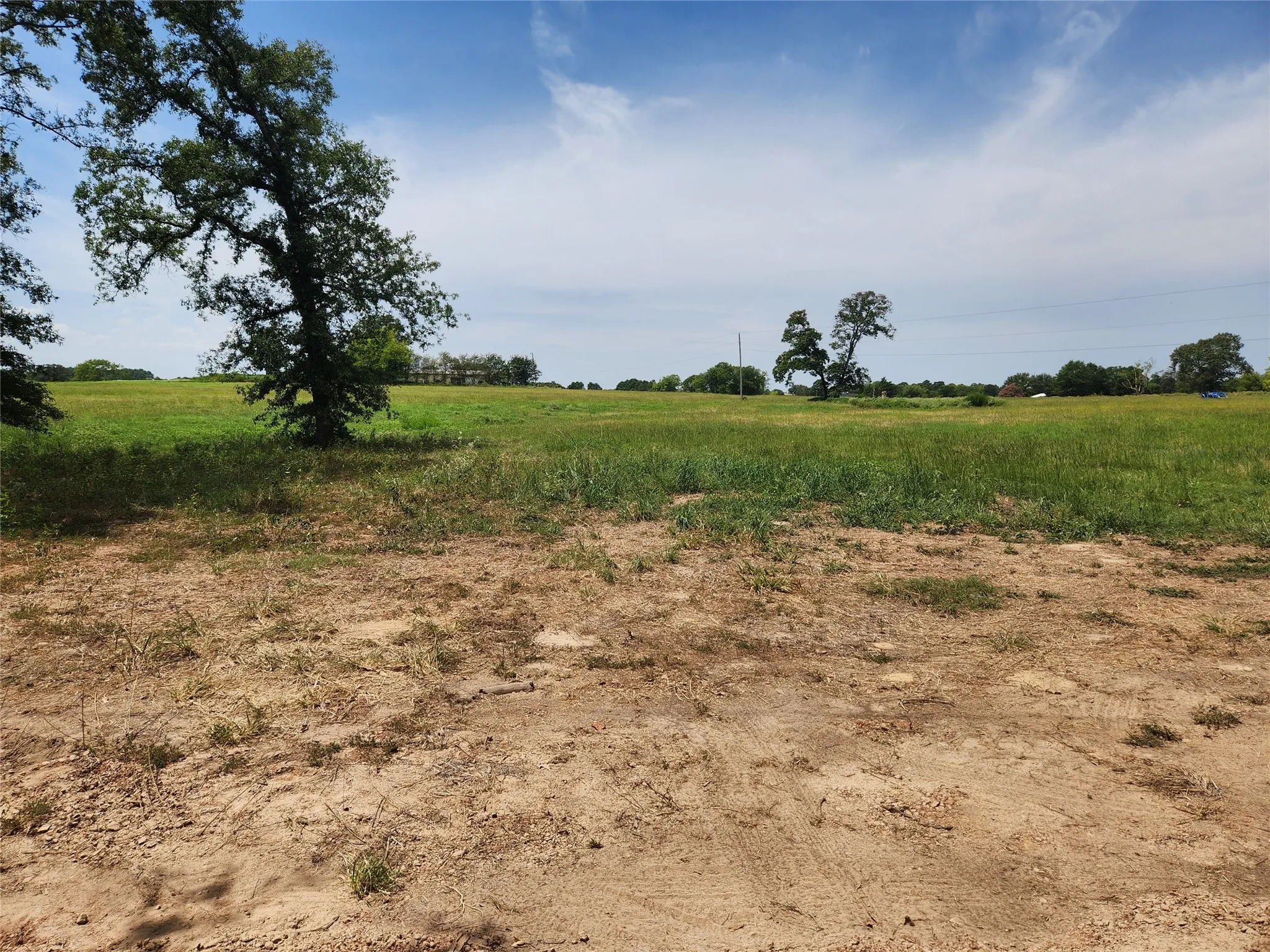Improved Land For Sale in Titus County , Lot 21 CR 3249, Mt Pleasant, Texas 75455, 0, 0, Garage spaces, 0 Sqft, built in 0, mls#21382991, Real Estate Agent in Mt Pleasant, Homes For Sale in Titus county, Homes For Sale in Mt Pleasant, Realtor in Mt Pleasant Texas, Real Estate Brokerage Independent Realty Texas, Luminita Cordes Realtor