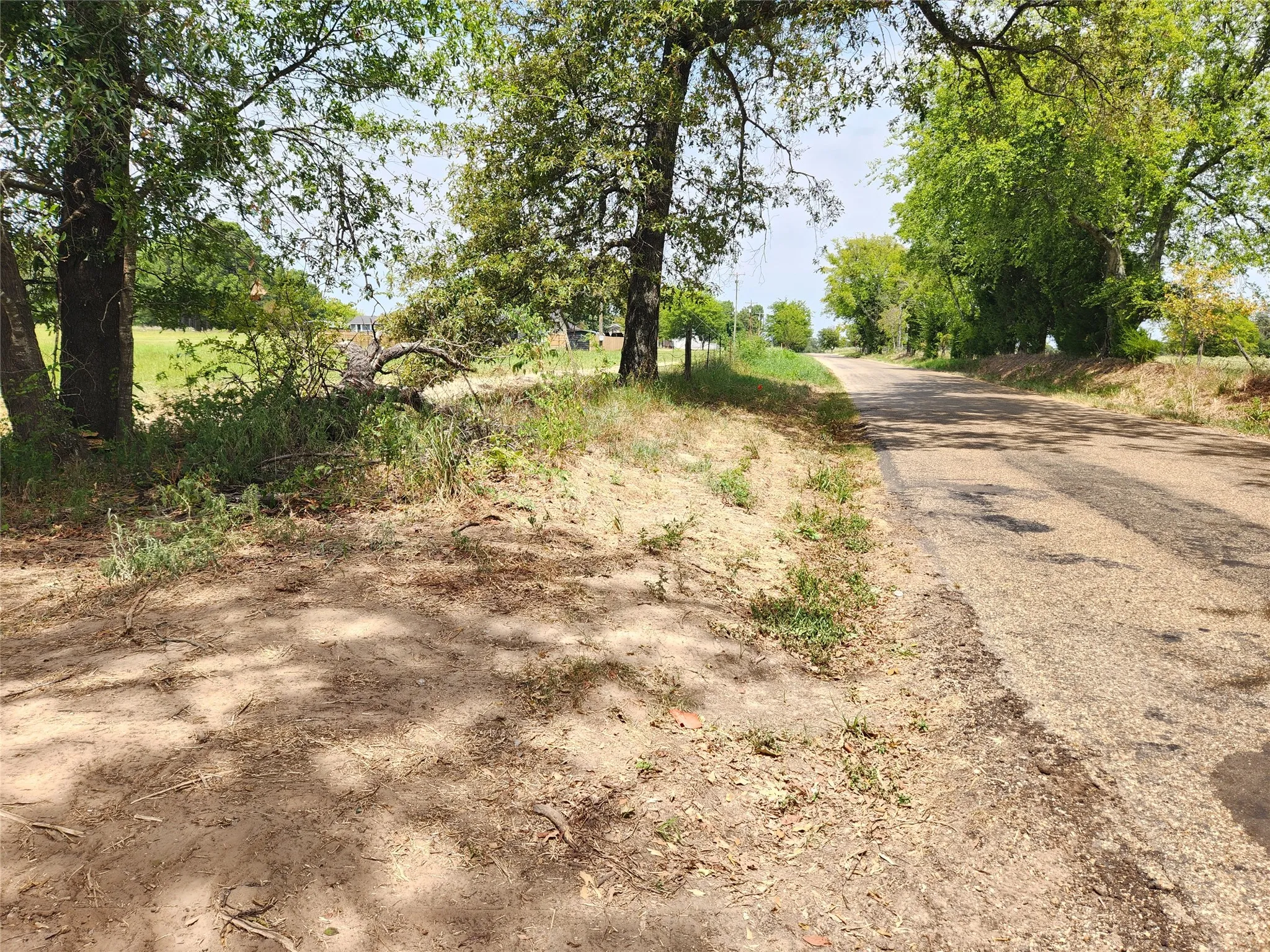 Improved Land For Sale in Titus County , Lot 21 CR 3249, Mt Pleasant, Texas 75455, 0, 0, Garage spaces, 0 Sqft, built in 0, mls#21382991, Real Estate Agent in Mt Pleasant, Homes For Sale in Titus county, Homes For Sale in Mt Pleasant, Realtor in Mt Pleasant Texas, Real Estate Brokerage Independent Realty Texas, Luminita Cordes Realtor