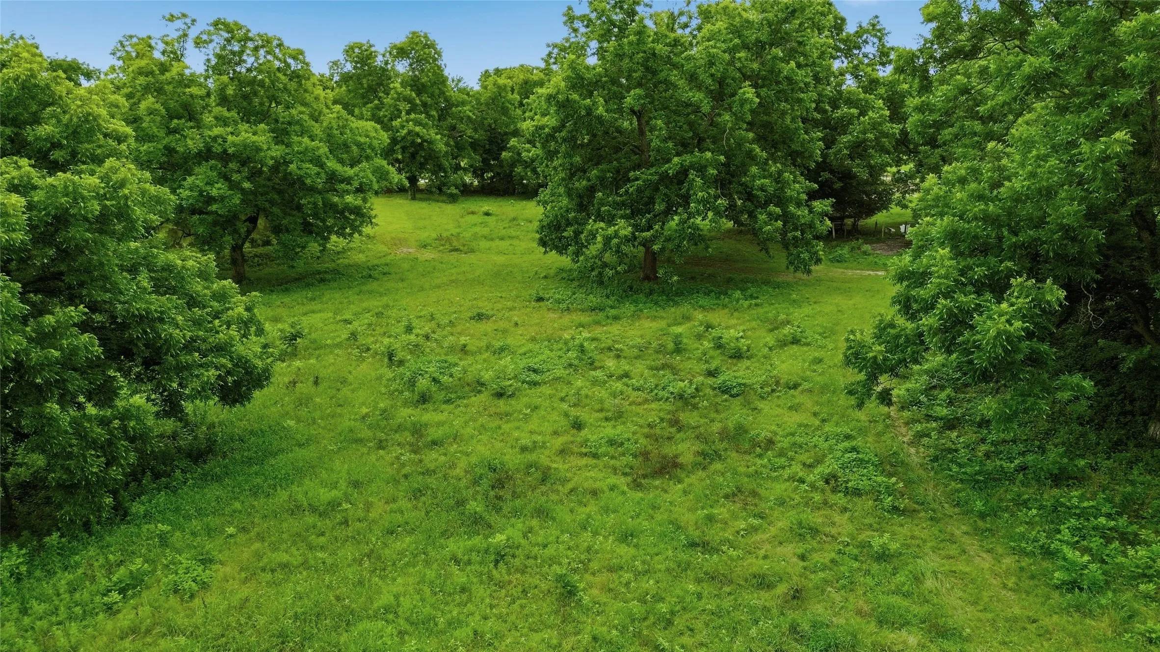 Single Family Residence For Sale in Delta County , 1603 Texas Highway 154, Cooper, Texas 75432, 3 Bedroom, 3 Bathroom, Garage spaces, 1,668 Sqft, built in 1950, mls#21382180, Real Estate Agent in Cooper, Homes For Sale in Delta county, Homes For Sale in Cooper, Realtor in Cooper Texas, Real Estate Brokerage Independent Realty Texas, Luminita Cordes Realtor