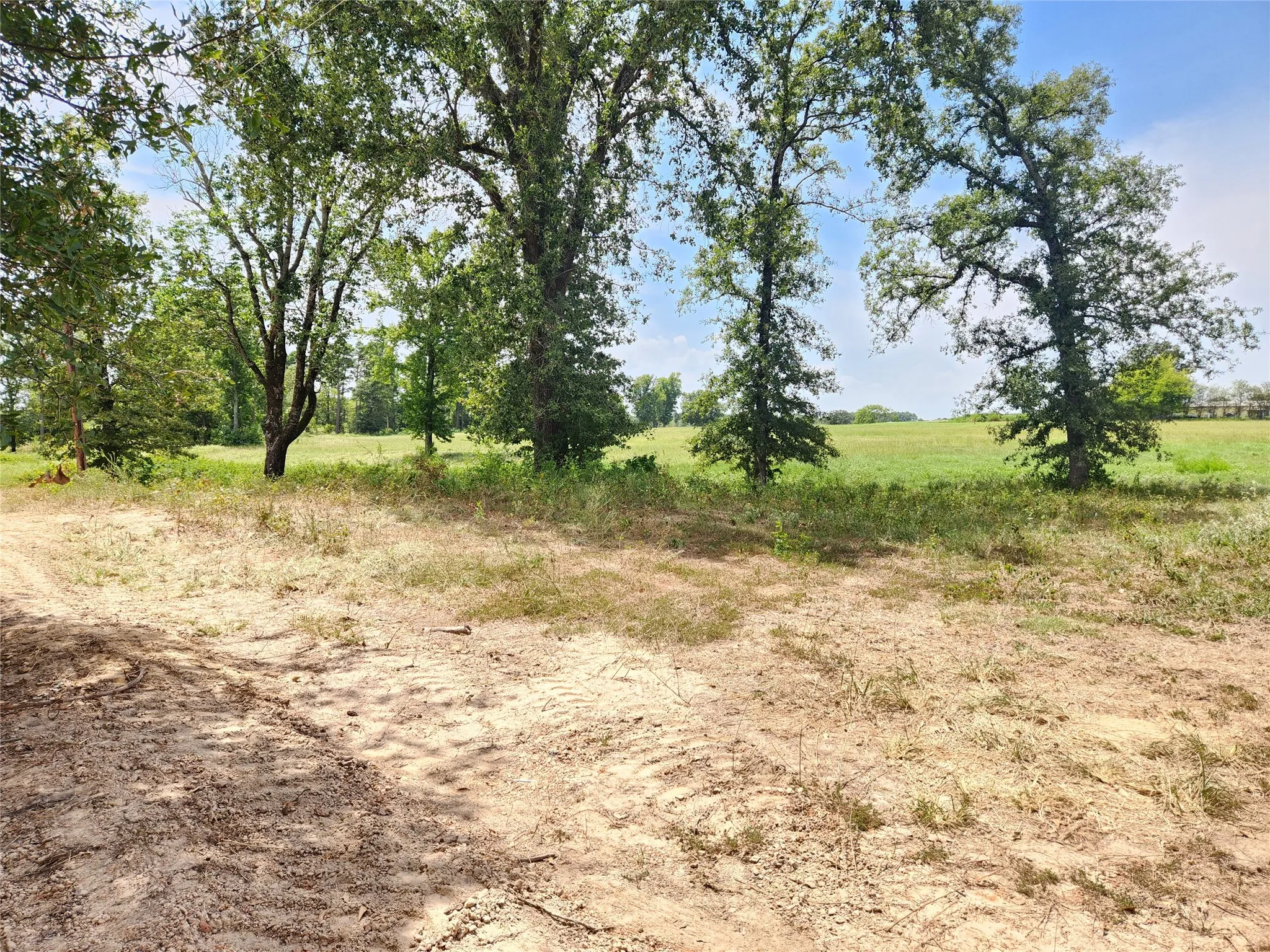 Improved Land For Sale in Titus County , Lot 22 CR 3249, Mt Pleasant, Texas 75455, 0, 0, Garage spaces, 0 Sqft, built in 0, mls#21383008, Real Estate Agent in Mt Pleasant, Homes For Sale in Titus county, Homes For Sale in Mt Pleasant, Realtor in Mt Pleasant Texas, Real Estate Brokerage Independent Realty Texas, Luminita Cordes Realtor