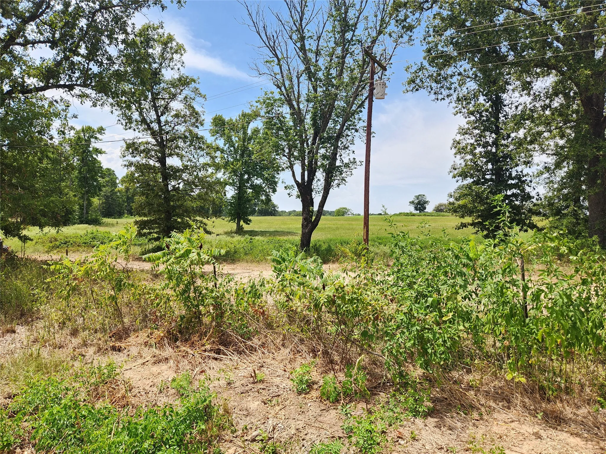 Improved Land For Sale in Titus County , Lot 22 CR 3249, Mt Pleasant, Texas 75455, 0, 0, Garage spaces, 0 Sqft, built in 0, mls#21383008, Real Estate Agent in Mt Pleasant, Homes For Sale in Titus county, Homes For Sale in Mt Pleasant, Realtor in Mt Pleasant Texas, Real Estate Brokerage Independent Realty Texas, Luminita Cordes Realtor