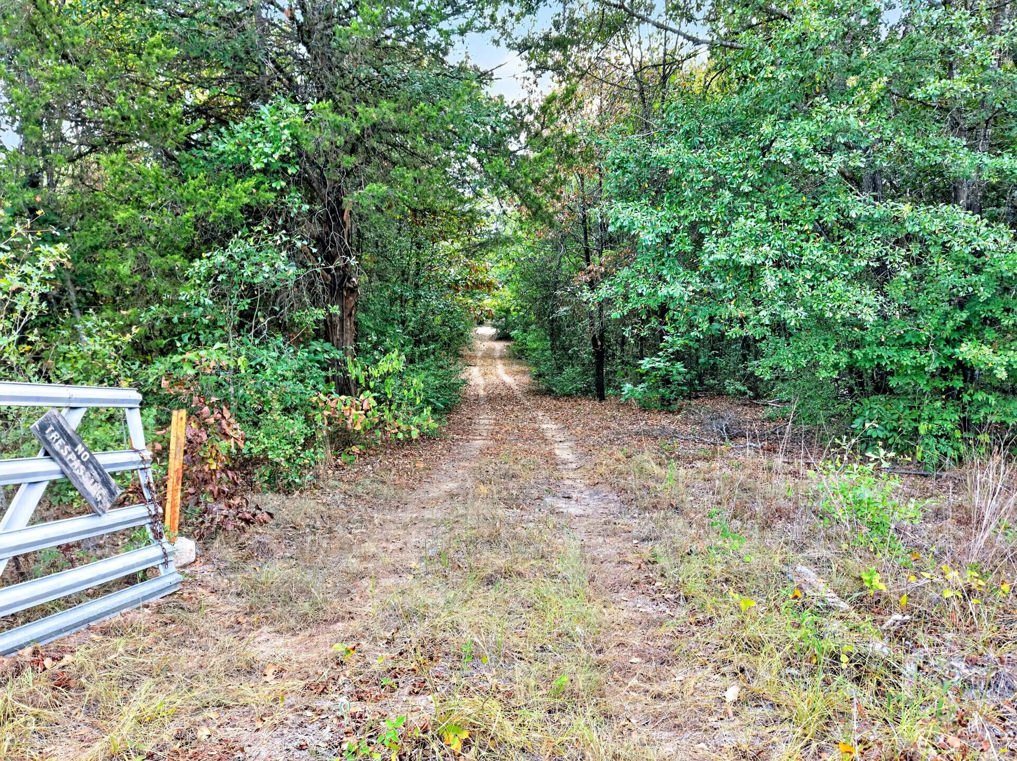 Unimproved Land For Sale in Anderson County , 0 N US Highway 287, Cayuga, Texas 75751, 0, 0, Garage spaces, 0 Sqft, built in 0, mls#21383023, Real Estate Agent in Cayuga, Homes For Sale in Anderson county, Homes For Sale in Cayuga, Realtor in Cayuga Texas, Real Estate Brokerage Independent Realty Texas, Luminita Cordes Realtor