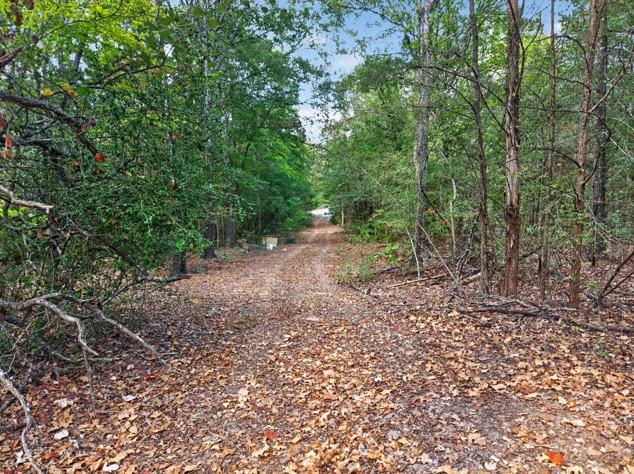 Unimproved Land For Sale in Anderson County , 0 N US Highway 287, Cayuga, Texas 75751, 0, 0, Garage spaces, 0 Sqft, built in 0, mls#21383023, Real Estate Agent in Cayuga, Homes For Sale in Anderson county, Homes For Sale in Cayuga, Realtor in Cayuga Texas, Real Estate Brokerage Independent Realty Texas, Luminita Cordes Realtor
