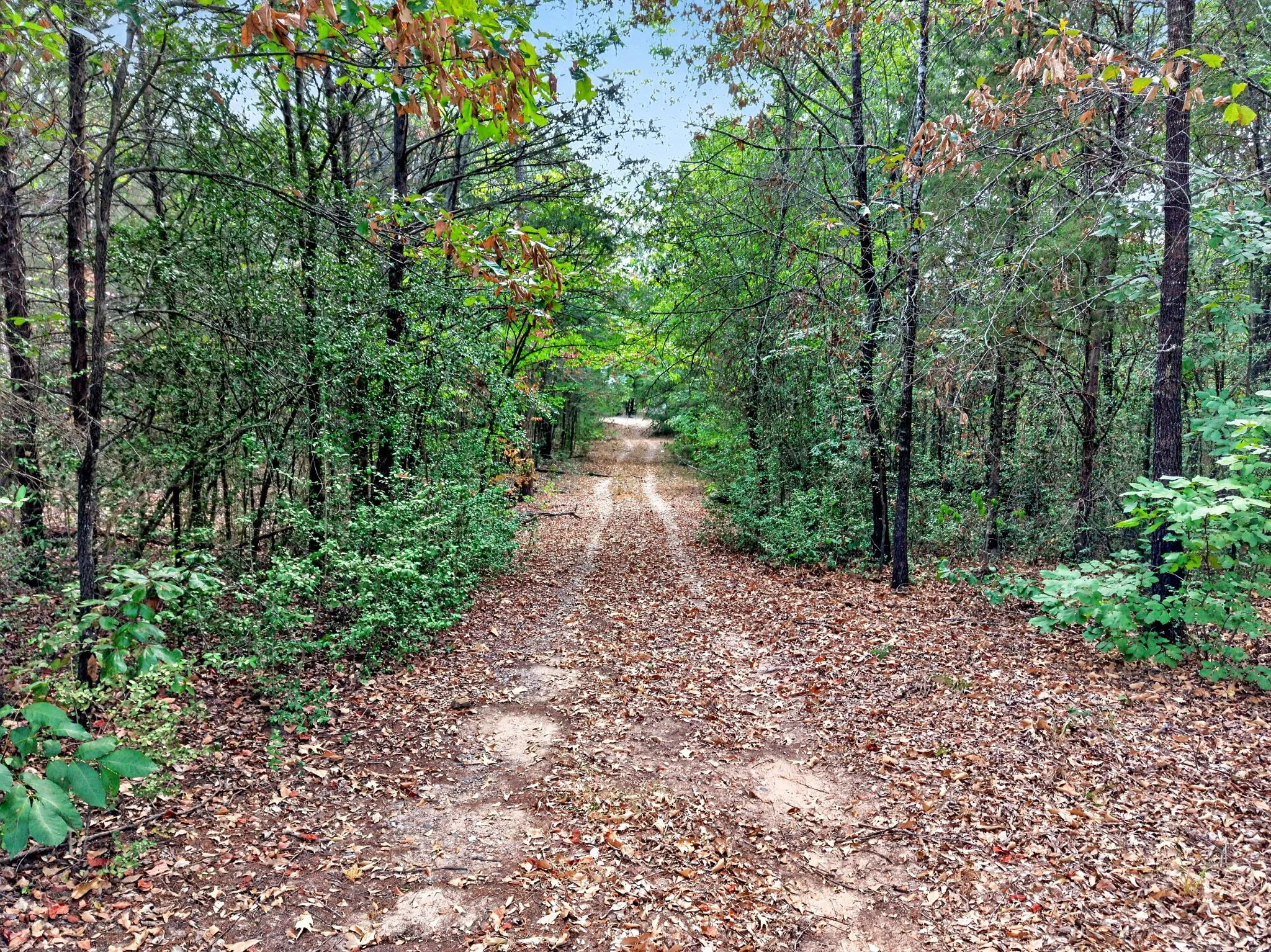 Unimproved Land For Sale in Anderson County , 0 N US Highway 287, Cayuga, Texas 75751, 0, 0, Garage spaces, 0 Sqft, built in 0, mls#21383023, Real Estate Agent in Cayuga, Homes For Sale in Anderson county, Homes For Sale in Cayuga, Realtor in Cayuga Texas, Real Estate Brokerage Independent Realty Texas, Luminita Cordes Realtor