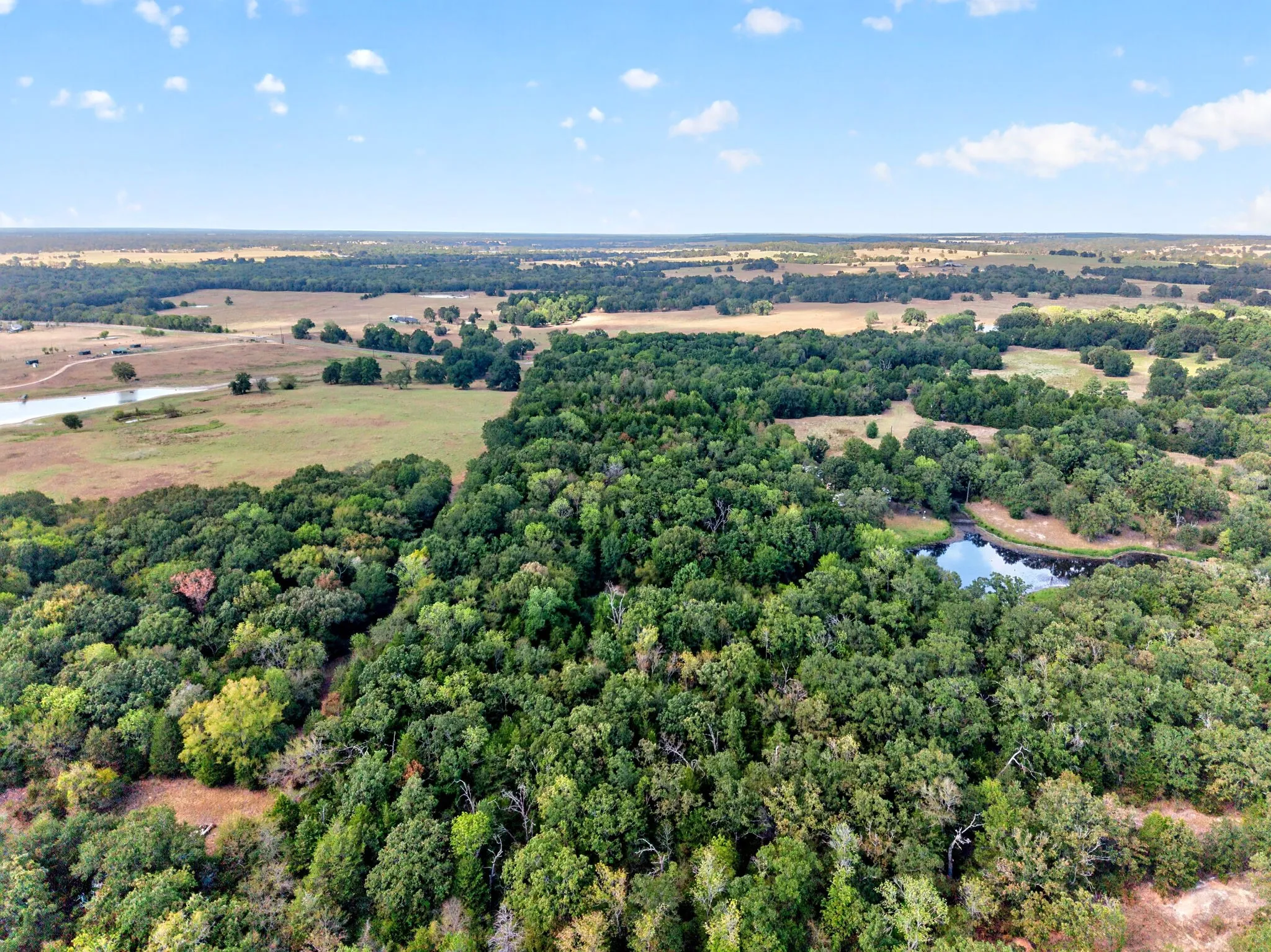 Unimproved Land For Sale in Anderson County , 0 N US Highway 287, Cayuga, Texas 75751, 0, 0, Garage spaces, 0 Sqft, built in 0, mls#21383023, Real Estate Agent in Cayuga, Homes For Sale in Anderson county, Homes For Sale in Cayuga, Realtor in Cayuga Texas, Real Estate Brokerage Independent Realty Texas, Luminita Cordes Realtor