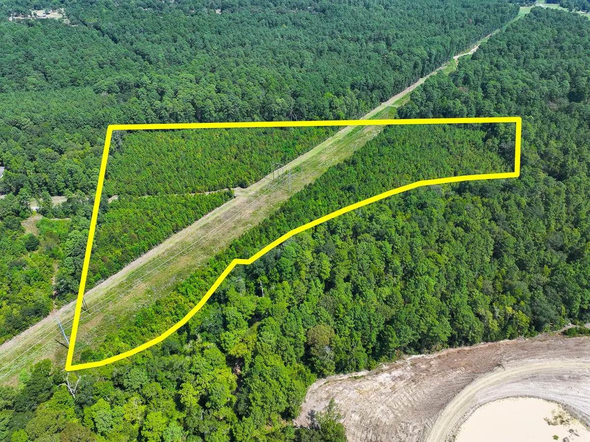 Unimproved Land For Sale in Walker County , 1 Johnson Road, Huntsville, Texas 77320, 0, 0, Garage spaces, 0 Sqft, built in 0, mls#21383042, Real Estate Agent in Huntsville, Homes For Sale in Walker county, Homes For Sale in Huntsville, Realtor in Huntsville Texas, Real Estate Brokerage Independent Realty Texas, Luminita Cordes Realtor