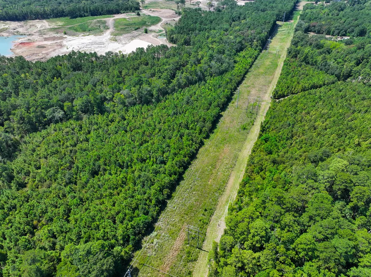 Unimproved Land For Sale in Walker County , 1 Johnson Road, Huntsville, Texas 77320, 0, 0, Garage spaces, 0 Sqft, built in 0, mls#21383042, Real Estate Agent in Huntsville, Homes For Sale in Walker county, Homes For Sale in Huntsville, Realtor in Huntsville Texas, Real Estate Brokerage Independent Realty Texas, Luminita Cordes Realtor