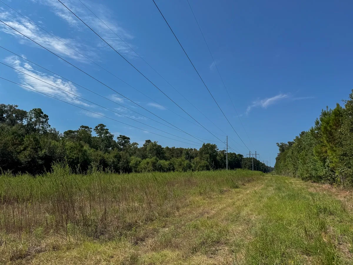 Unimproved Land For Sale in Walker County , 1 Johnson Road, Huntsville, Texas 77320, 0, 0, Garage spaces, 0 Sqft, built in 0, mls#21383042, Real Estate Agent in Huntsville, Homes For Sale in Walker county, Homes For Sale in Huntsville, Realtor in Huntsville Texas, Real Estate Brokerage Independent Realty Texas, Luminita Cordes Realtor