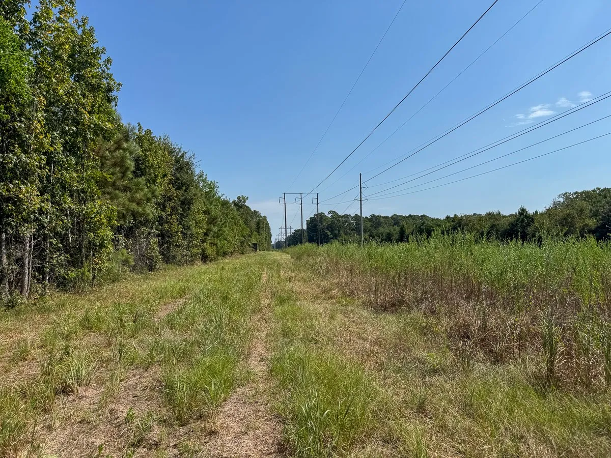 Unimproved Land For Sale in Walker County , 1 Johnson Road, Huntsville, Texas 77320, 0, 0, Garage spaces, 0 Sqft, built in 0, mls#21383042, Real Estate Agent in Huntsville, Homes For Sale in Walker county, Homes For Sale in Huntsville, Realtor in Huntsville Texas, Real Estate Brokerage Independent Realty Texas, Luminita Cordes Realtor