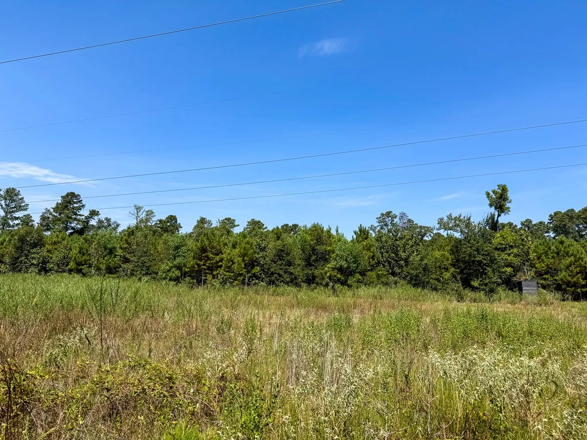 Unimproved Land For Sale in Walker County , 1 Johnson Road, Huntsville, Texas 77320, 0, 0, Garage spaces, 0 Sqft, built in 0, mls#21383042, Real Estate Agent in Huntsville, Homes For Sale in Walker county, Homes For Sale in Huntsville, Realtor in Huntsville Texas, Real Estate Brokerage Independent Realty Texas, Luminita Cordes Realtor