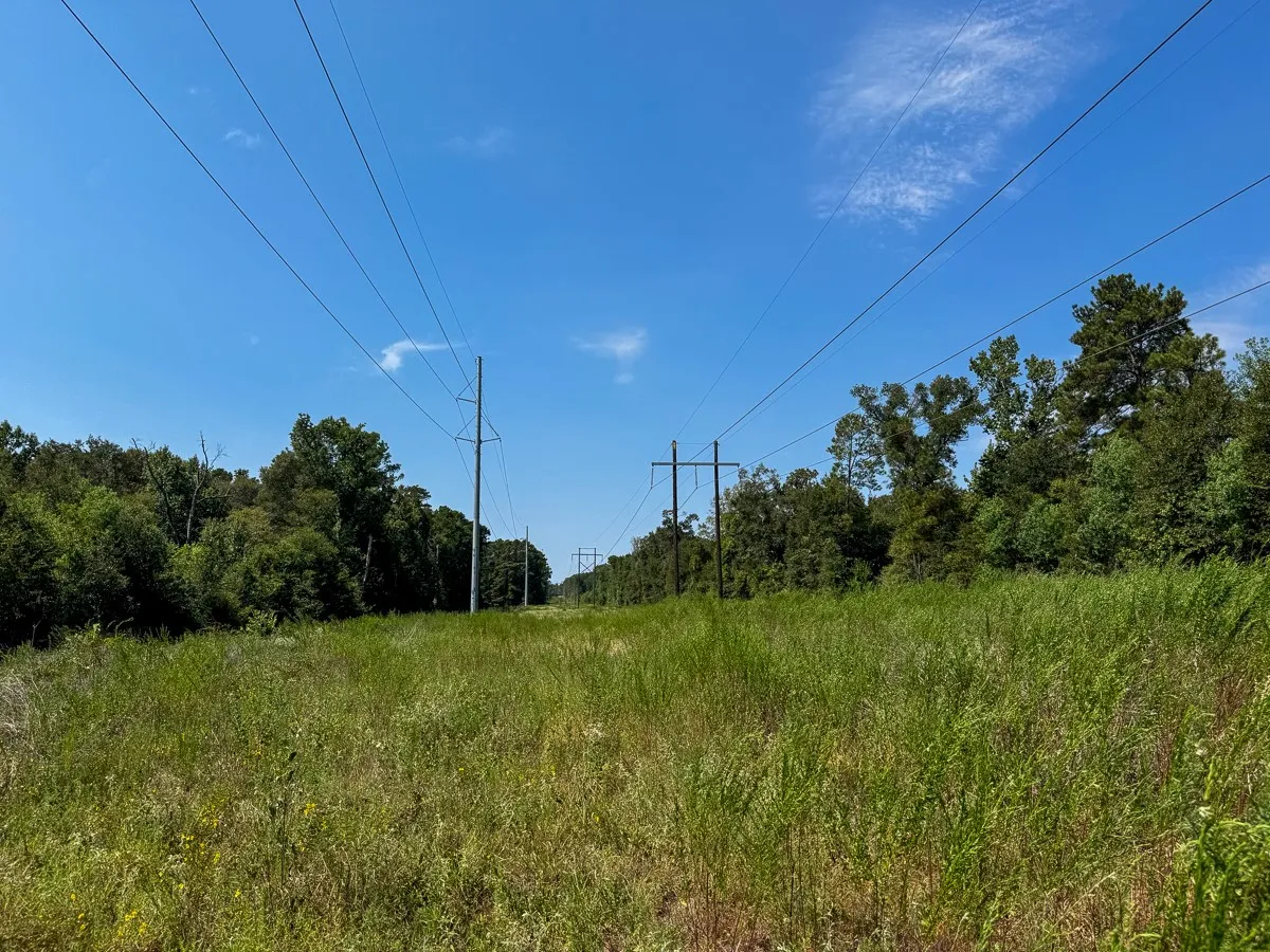 Unimproved Land For Sale in Walker County , 1 Johnson Road, Huntsville, Texas 77320, 0, 0, Garage spaces, 0 Sqft, built in 0, mls#21383042, Real Estate Agent in Huntsville, Homes For Sale in Walker county, Homes For Sale in Huntsville, Realtor in Huntsville Texas, Real Estate Brokerage Independent Realty Texas, Luminita Cordes Realtor