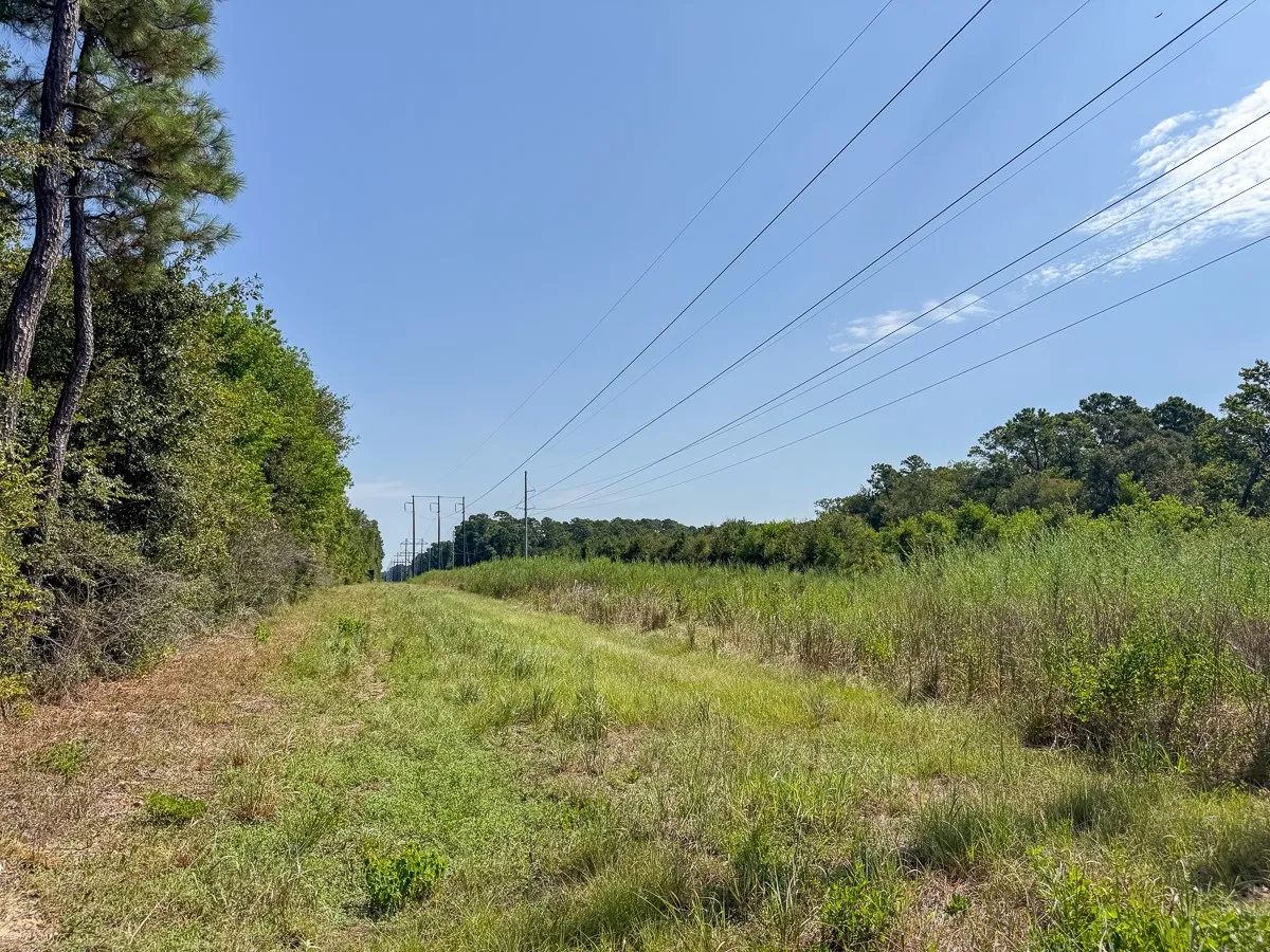 Unimproved Land For Sale in Walker County , 1 Johnson Road, Huntsville, Texas 77320, 0, 0, Garage spaces, 0 Sqft, built in 0, mls#21383042, Real Estate Agent in Huntsville, Homes For Sale in Walker county, Homes For Sale in Huntsville, Realtor in Huntsville Texas, Real Estate Brokerage Independent Realty Texas, Luminita Cordes Realtor